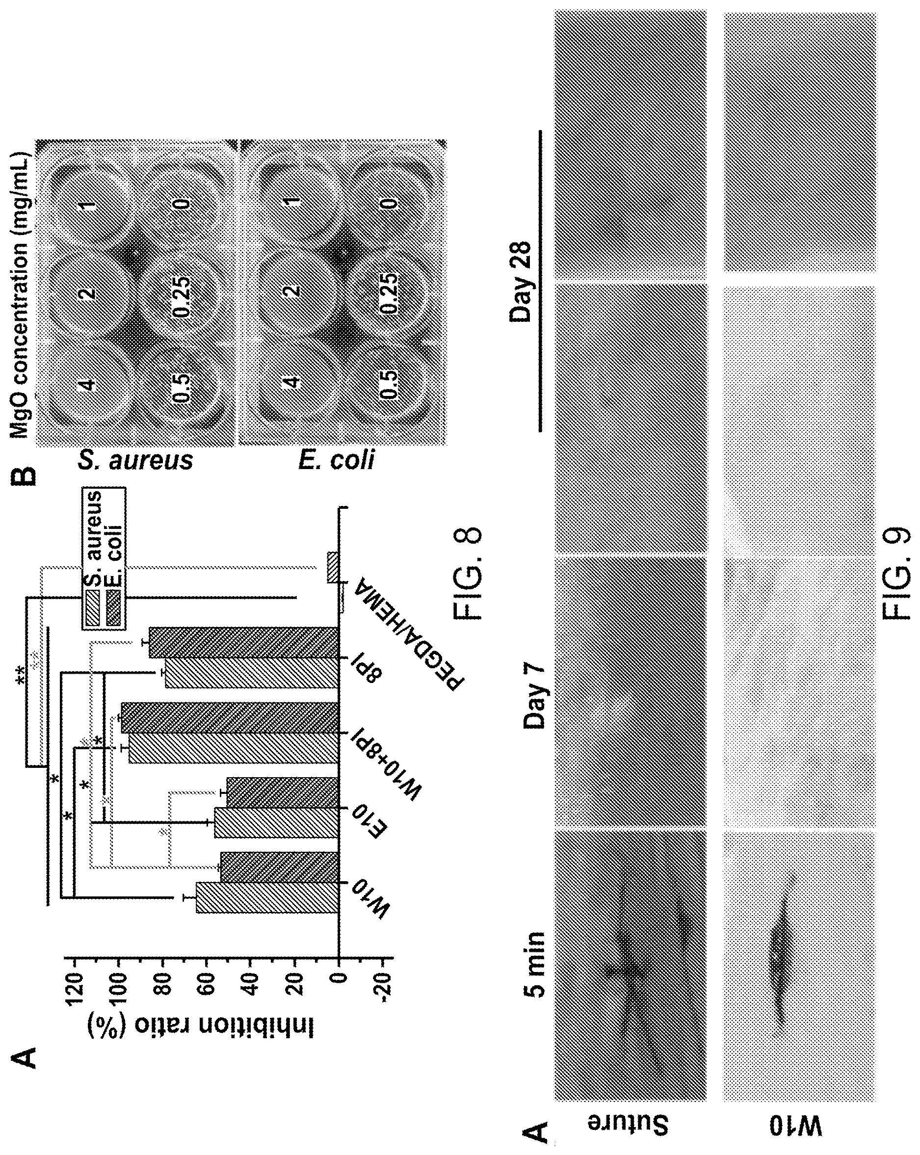 Patent US12616773 Figure 11 – Bioadhesive compositions and methods of making the same