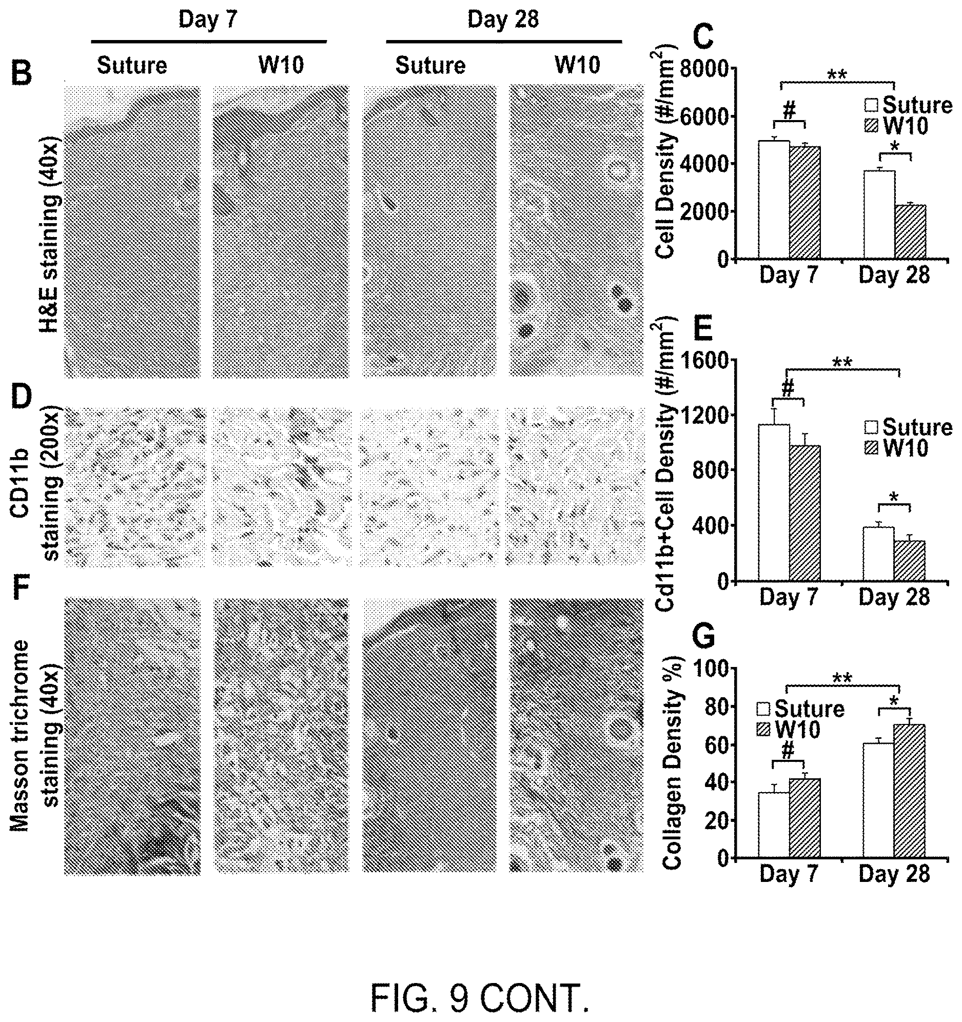 Patent US12616773 Figure 12 – Bioadhesive compositions and methods of making the same
