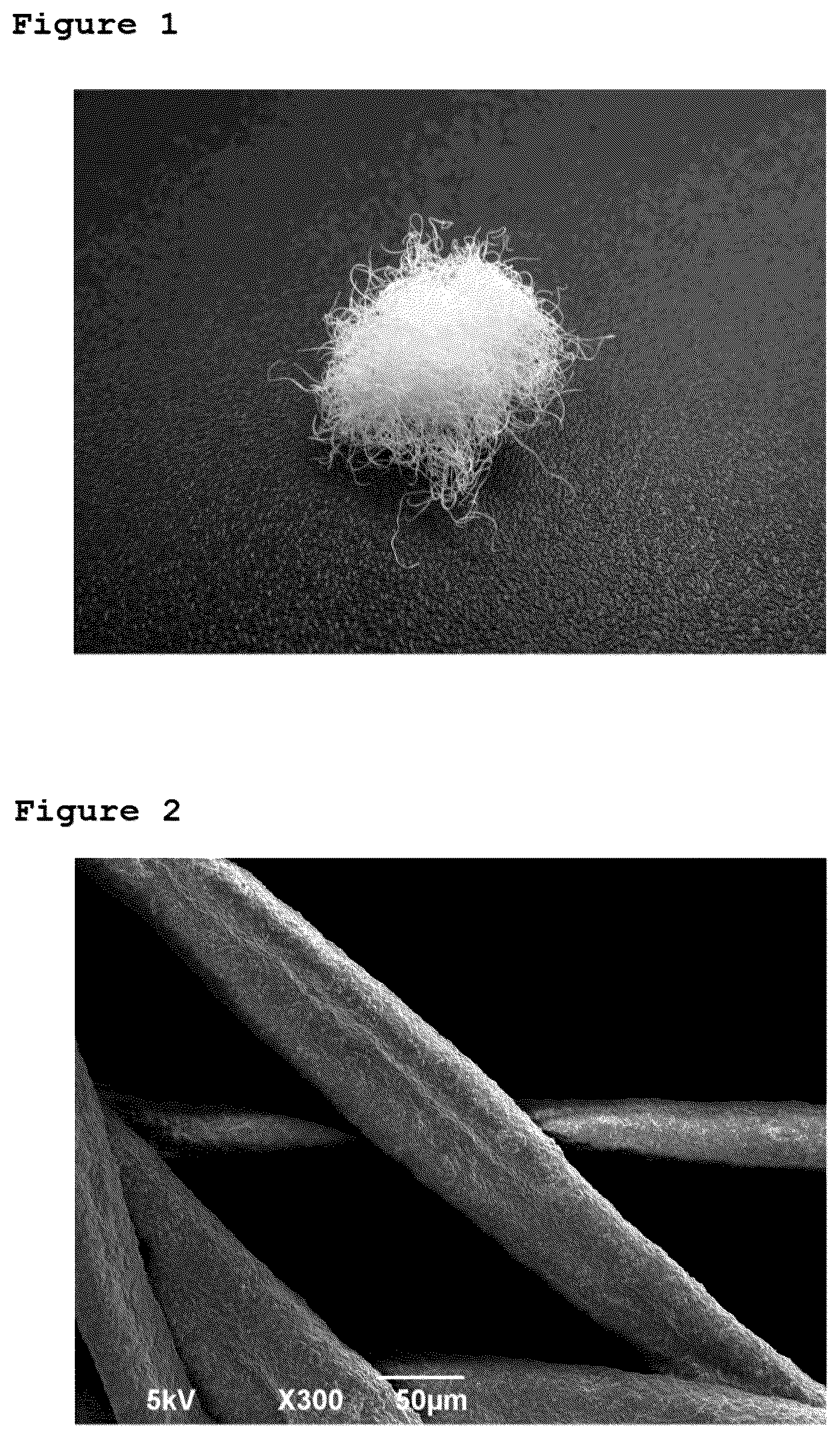 Patent US12616775 Figure 1 – Method for manufacturing bone-regeneration material comprising biodegradable fibers by using electrospinning method