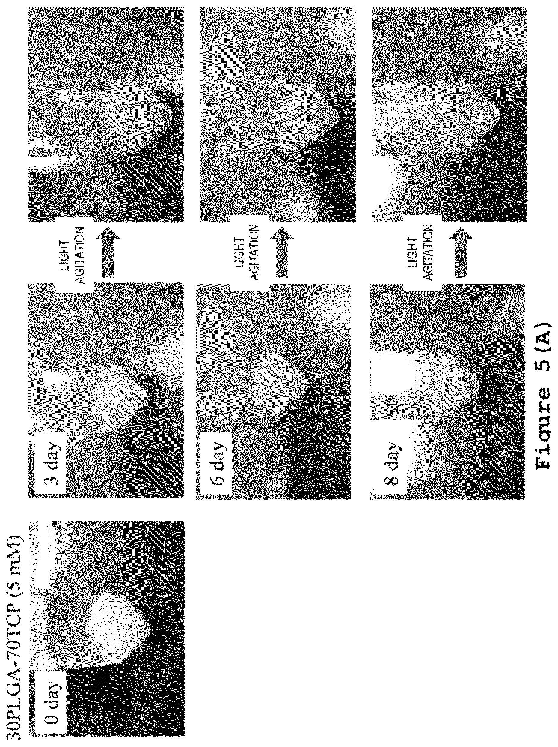 Patent US12616775 Figure 5 – Method for manufacturing bone-regeneration material comprising biodegradable fibers by using electrospinning method