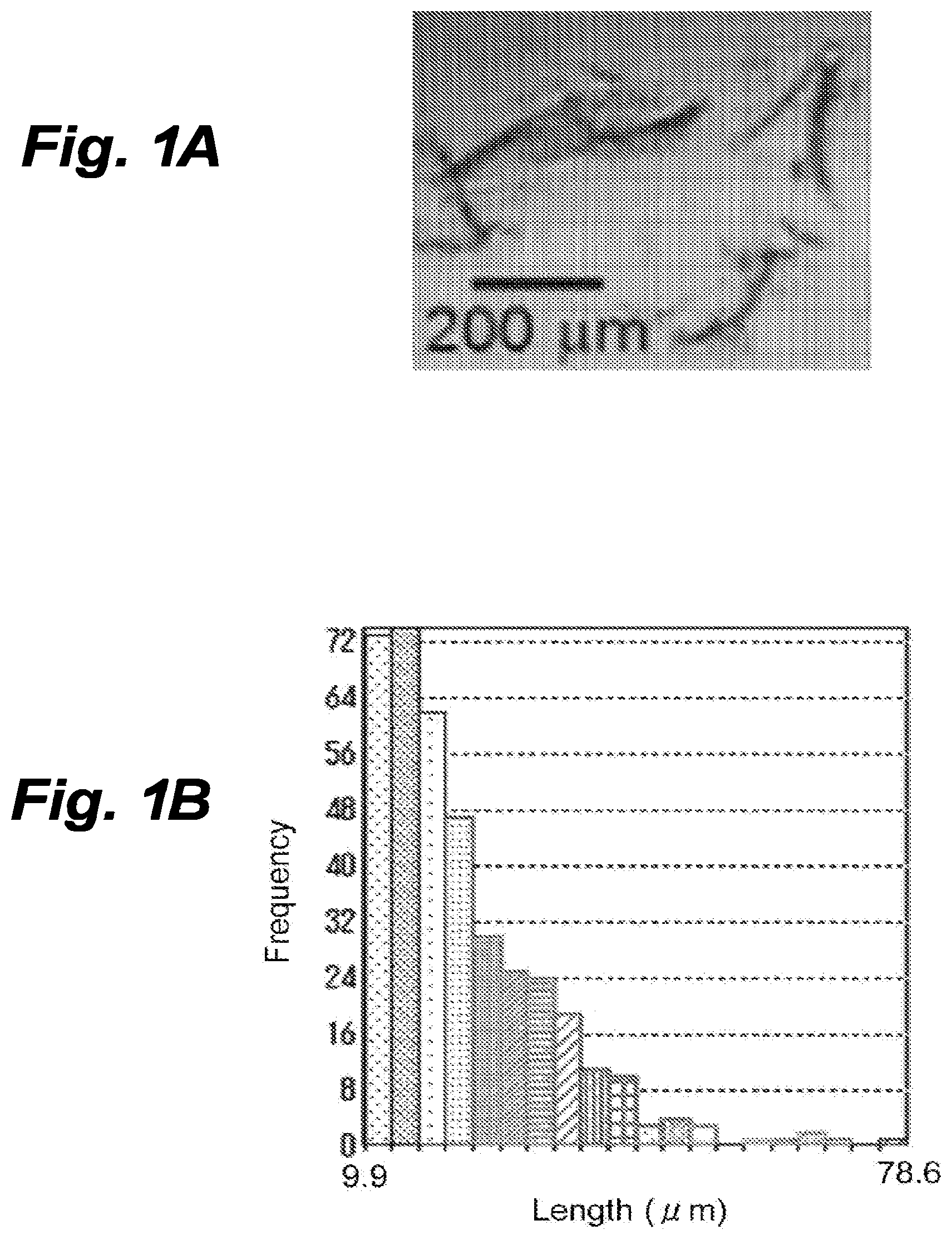 Patent US12616776 Figure 1 – Three-dimensional tissue body, method for producing same, and formation agent for three-dimensional tissue body