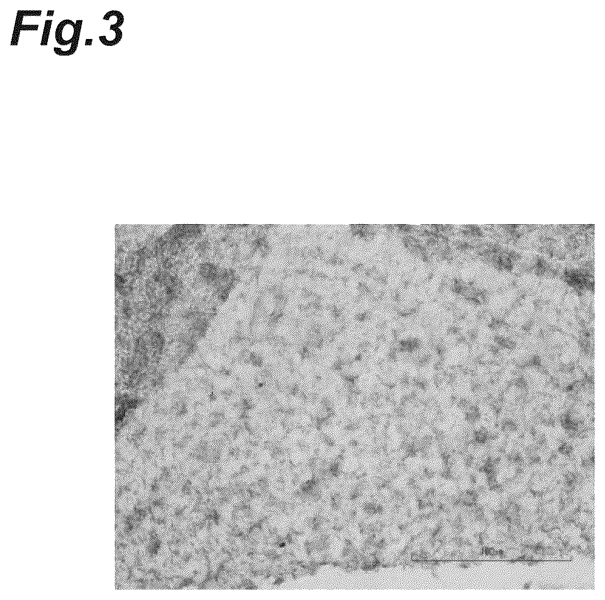 Patent US12616776 Figure 3 – Three-dimensional tissue body, method for producing same, and formation agent for three-dimensional tissue body