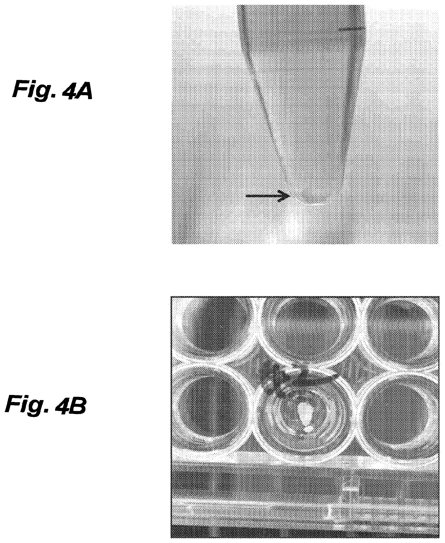 Patent US12616776 Figure 4 – Three-dimensional tissue body, method for producing same, and formation agent for three-dimensional tissue body