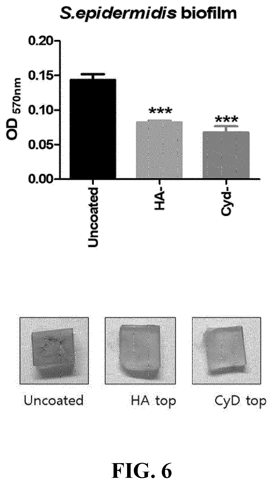 Patent US12616778 Figure 5 – Composite ultrathin coating film with inhibitory activity against hyperinflammatory response and bacteria, implant including same, and preparation method therefor