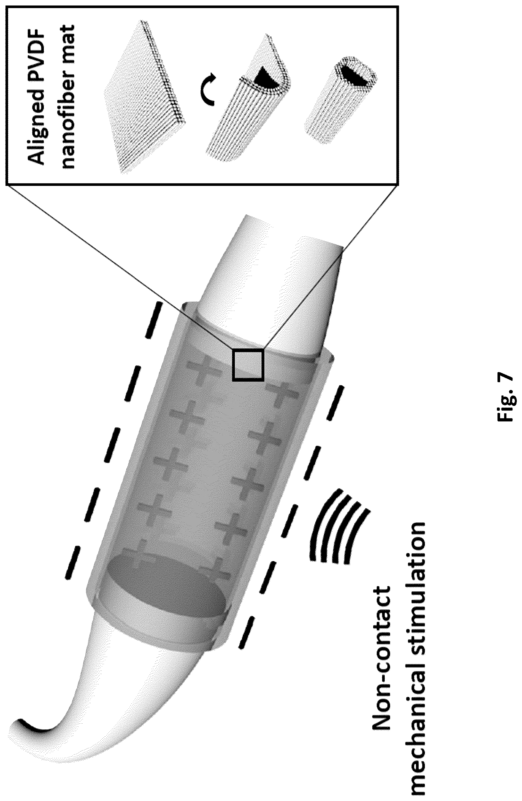 Patent US12616779 Figure 7 – Piezoelectric nerve guidance and regeneration