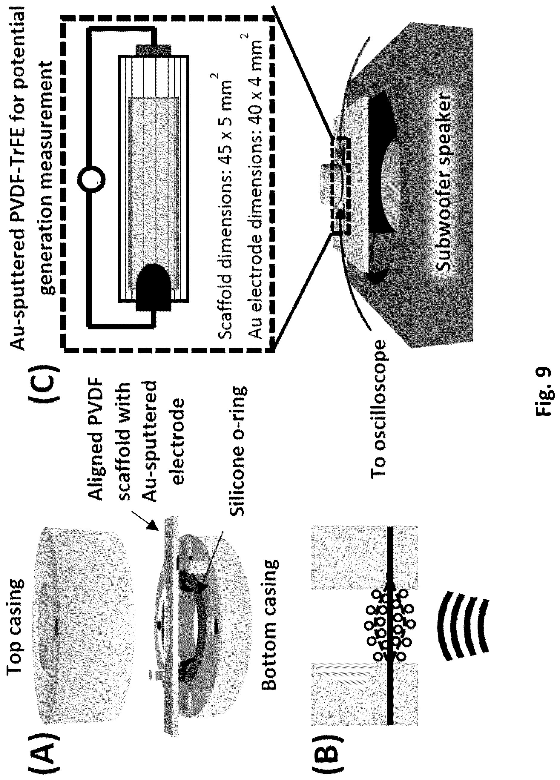 Patent US12616779 Figure 9 – Piezoelectric nerve guidance and regeneration
