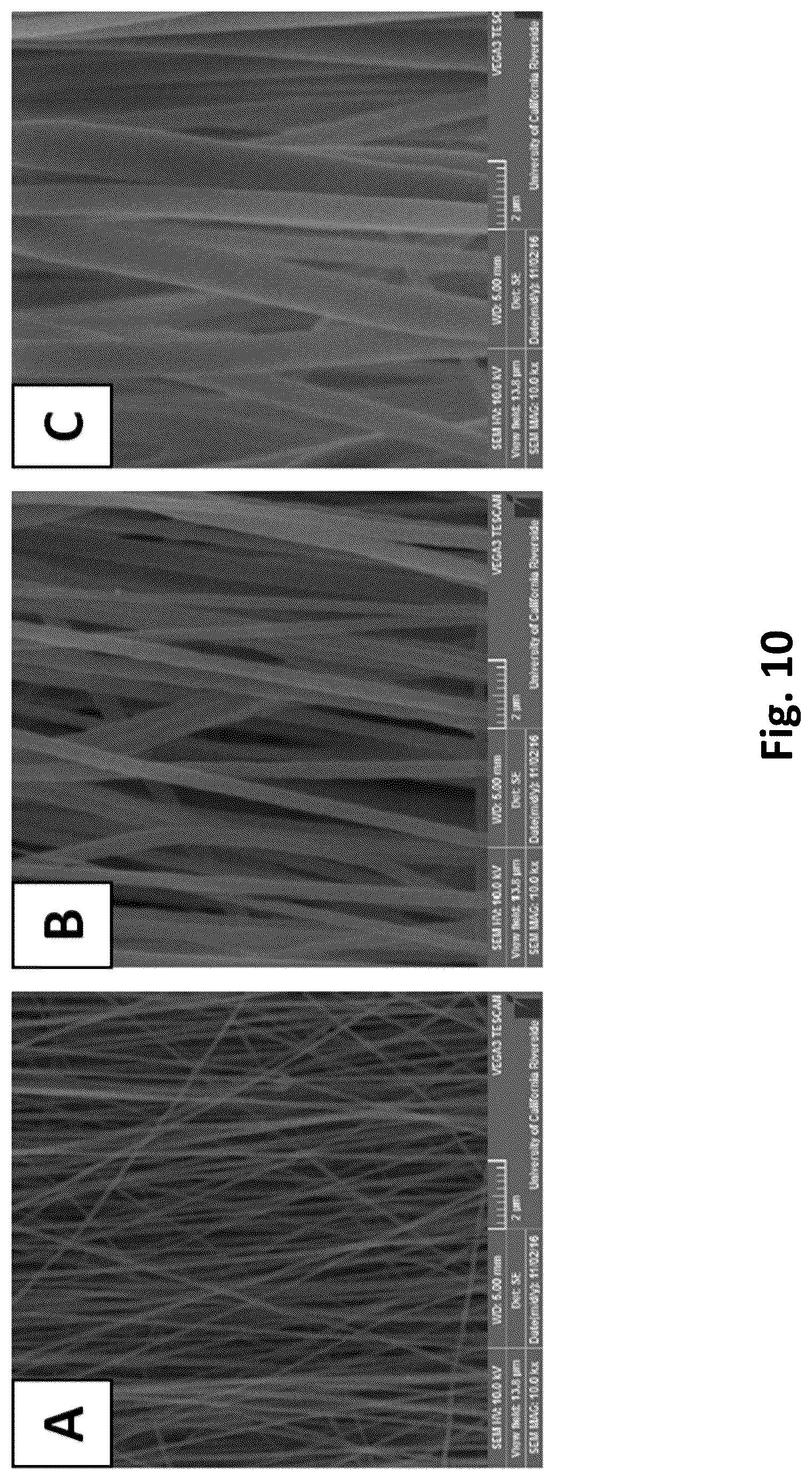 Patent US12616779 Figure 10 – Piezoelectric nerve guidance and regeneration