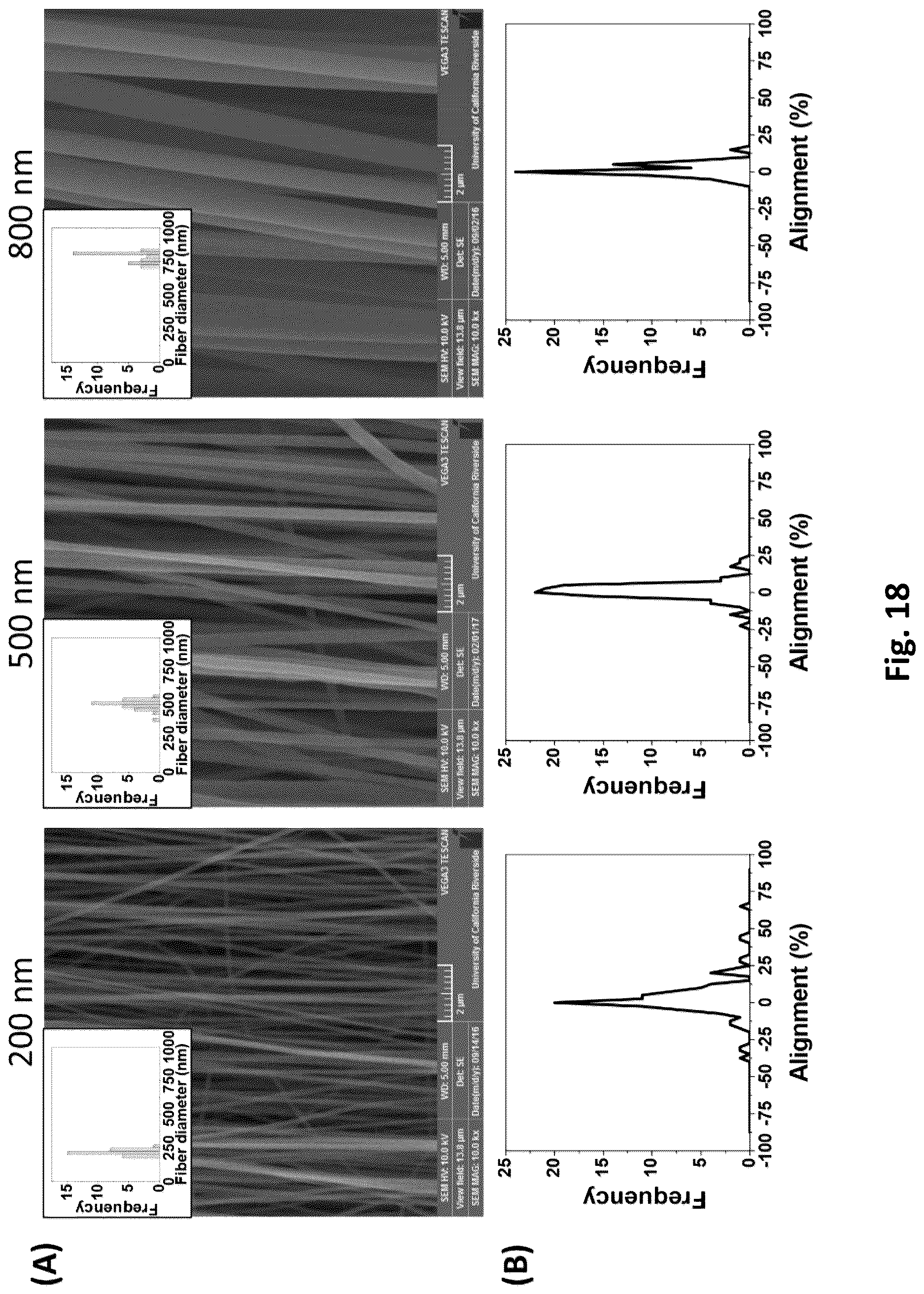 Patent US12616779 Figure 18 – Piezoelectric nerve guidance and regeneration