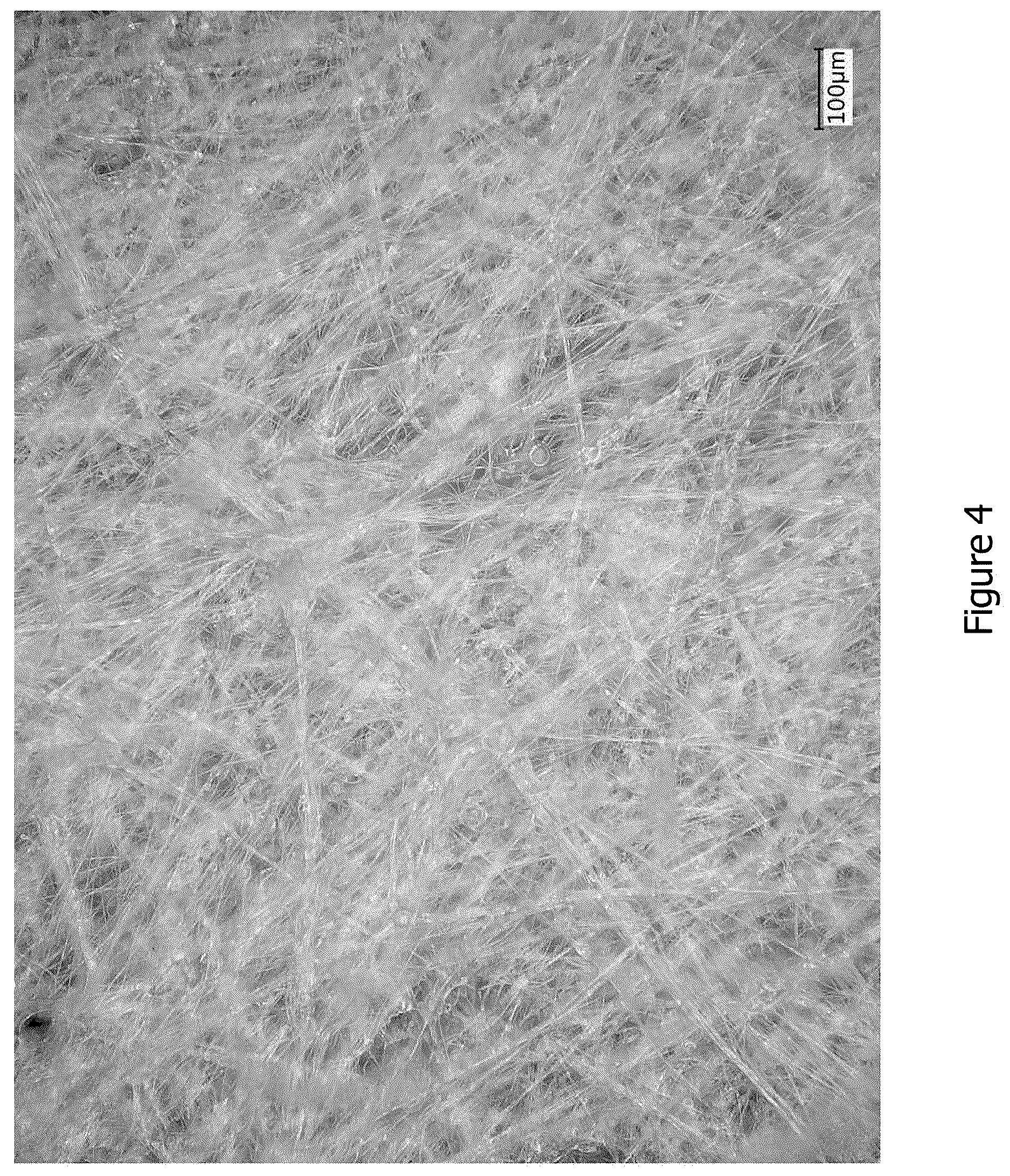 Patent US12616781 Figure 4 – Tubular nonwoven structure as active agent carrier for the atraumatic treatment of hollow organs, and a process for producing the same