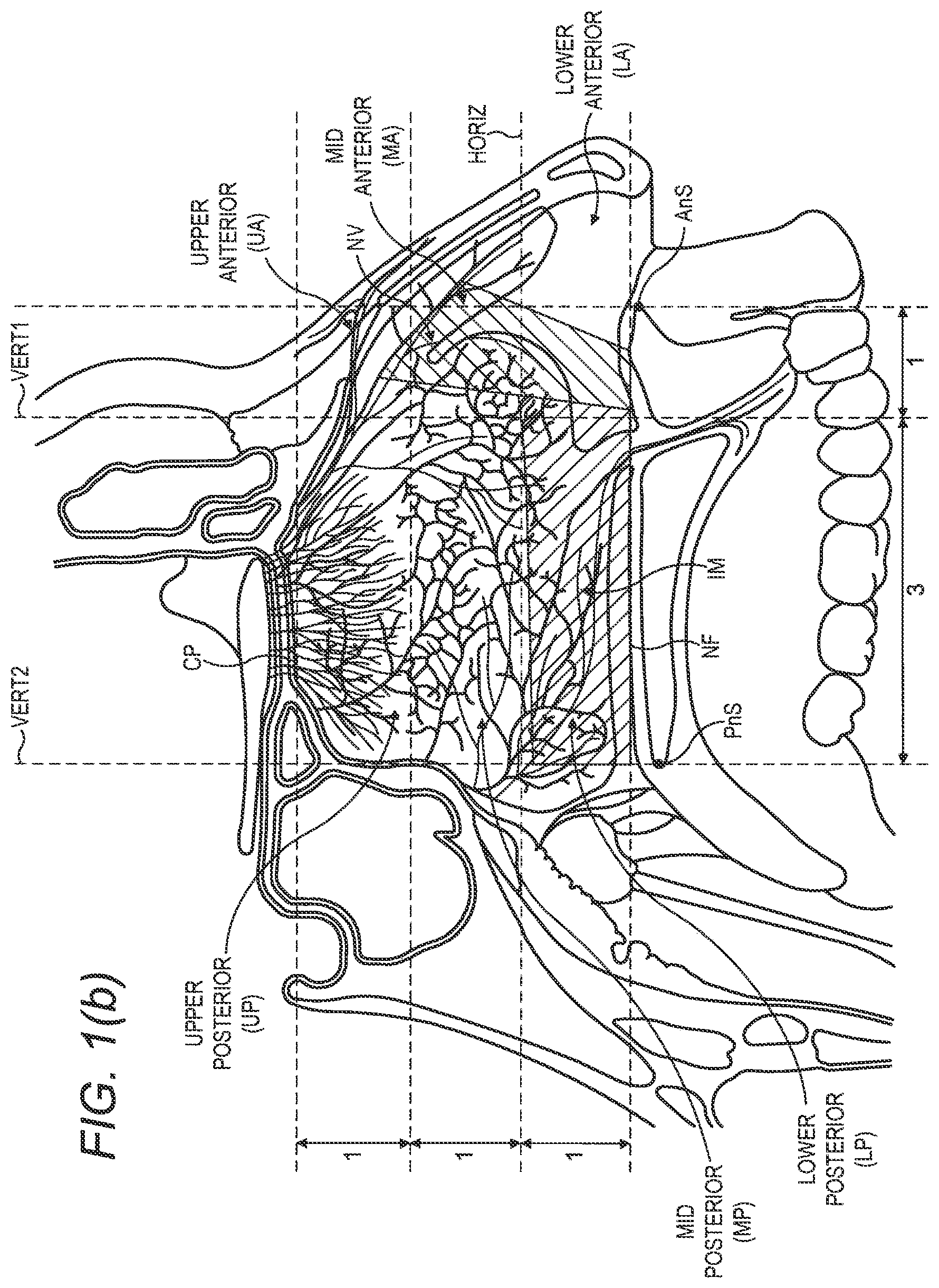 Patent US12616806 Figure 2 – Nasal administration