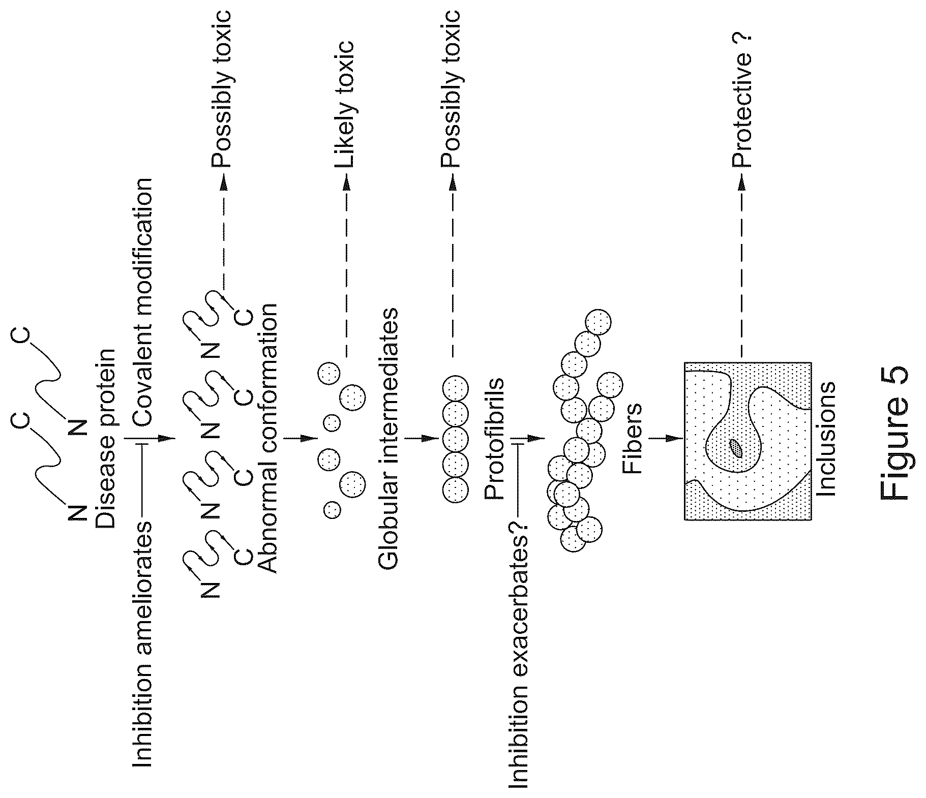 Patent US12616822 Figure 5 – Cerebrospinal fluid purification system