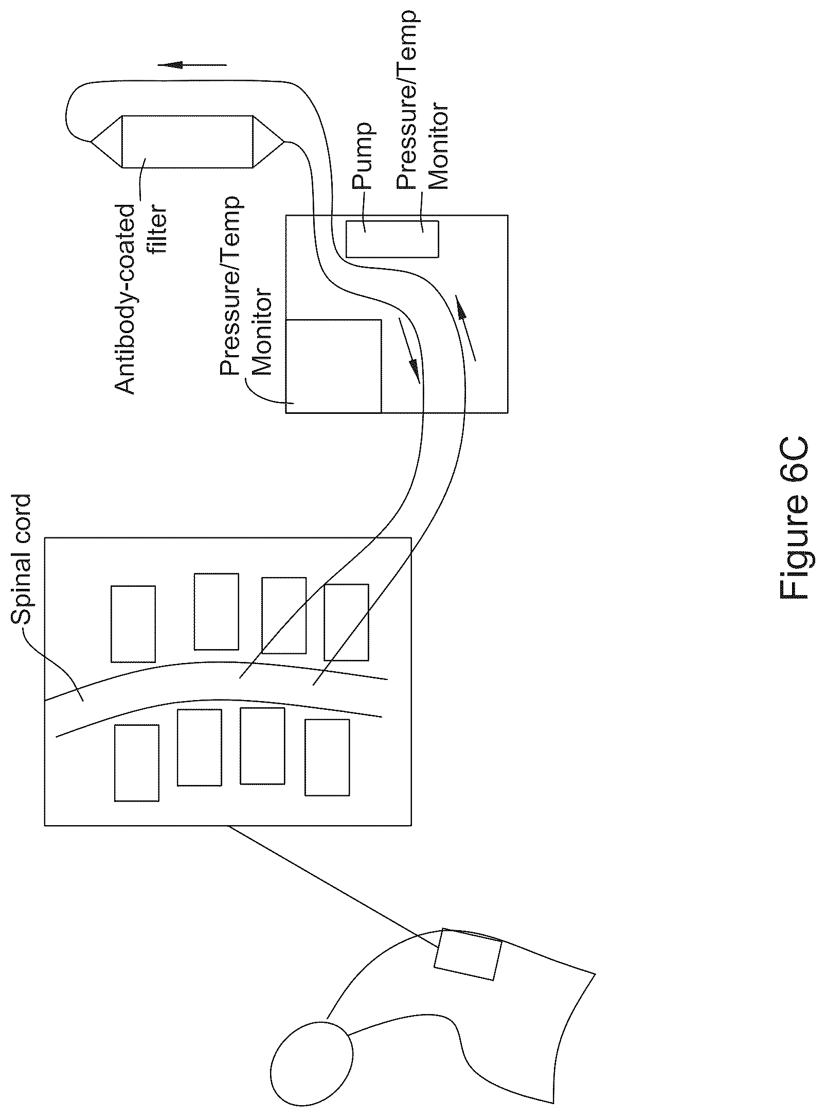 Patent US12616822 Figure 8 – Cerebrospinal fluid purification system
