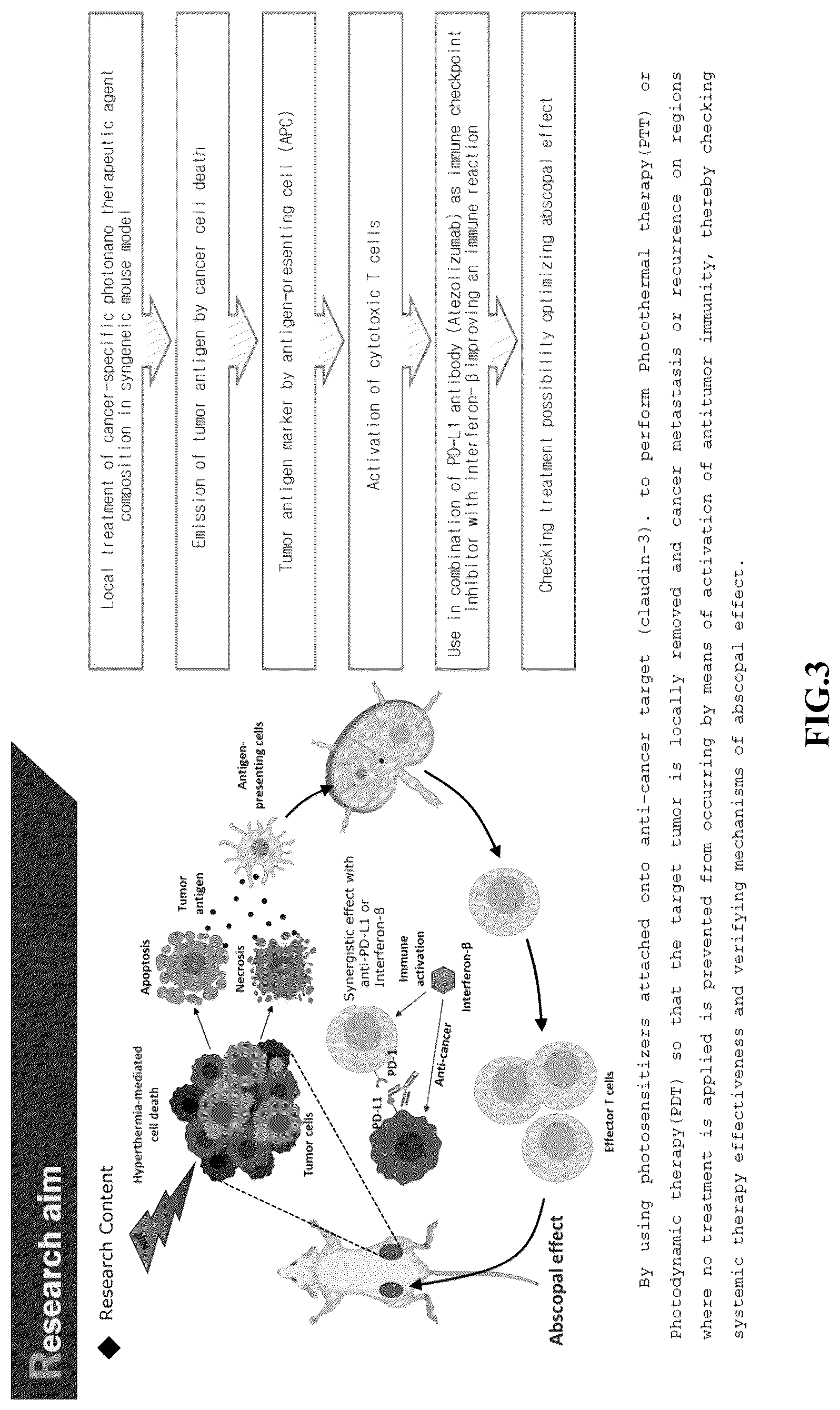 Patent US12616847 Figure 3 – Photodynamic therapy and microwave therapy fusion system
