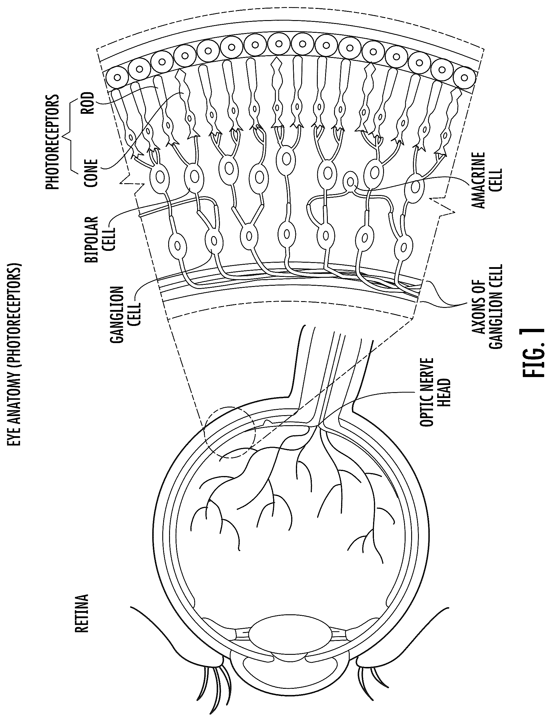 Patent US12616849 Figure 1 – Sunglass lens and sunglass optics for ocular photo-bio-stimulation