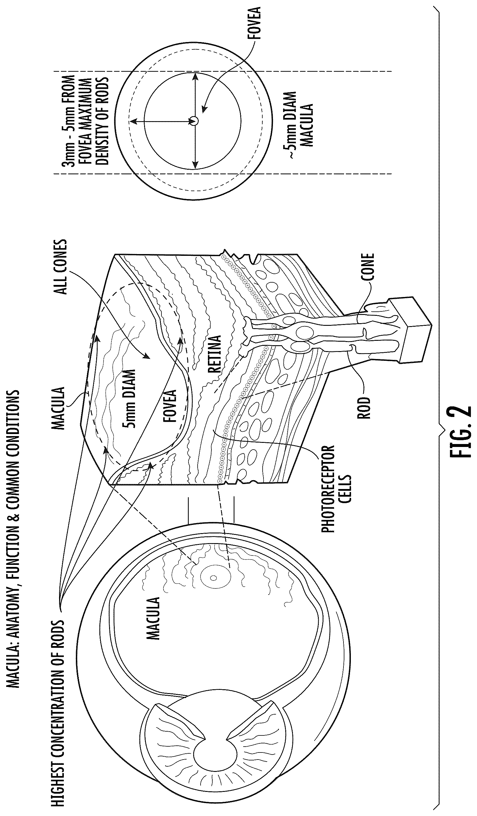 Patent US12616849 Figure 2 – Sunglass lens and sunglass optics for ocular photo-bio-stimulation
