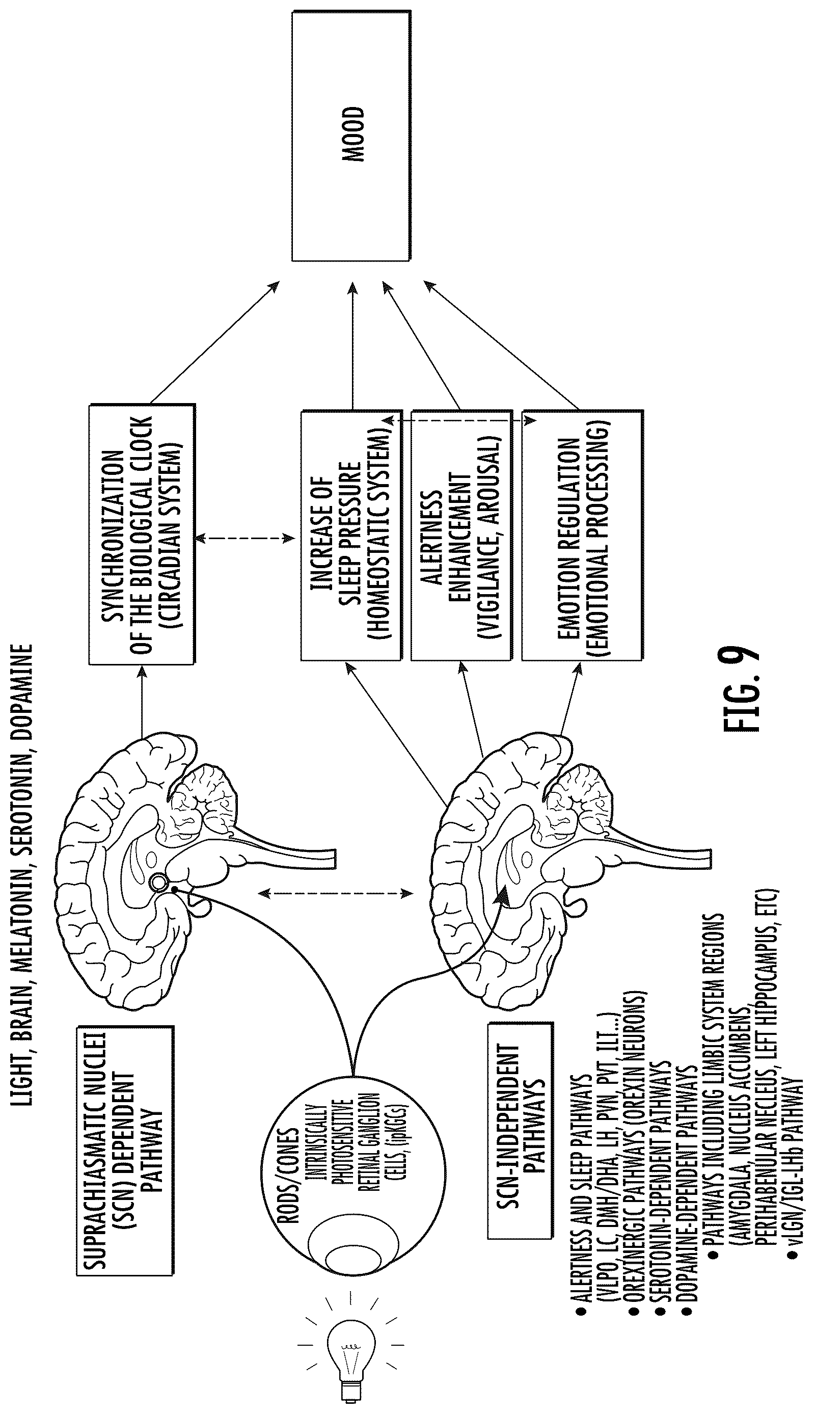 Patent US12616849 Figure 9 – Sunglass lens and sunglass optics for ocular photo-bio-stimulation