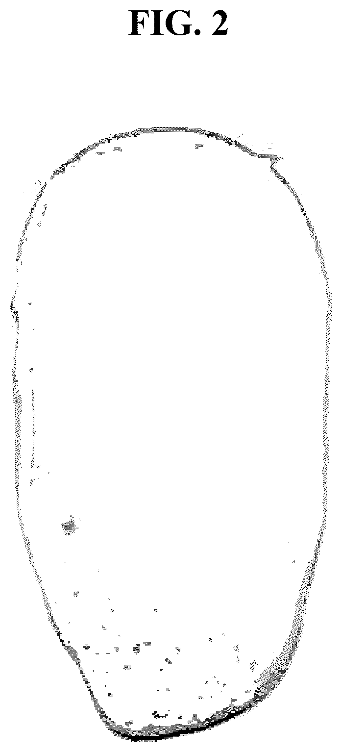 Patent US12616863 Figure 2 – Lithium ion battery fire suppressant containing extinguishing powder mixed with organic binder and lithium ion battery fire suppression sheet comprising the same