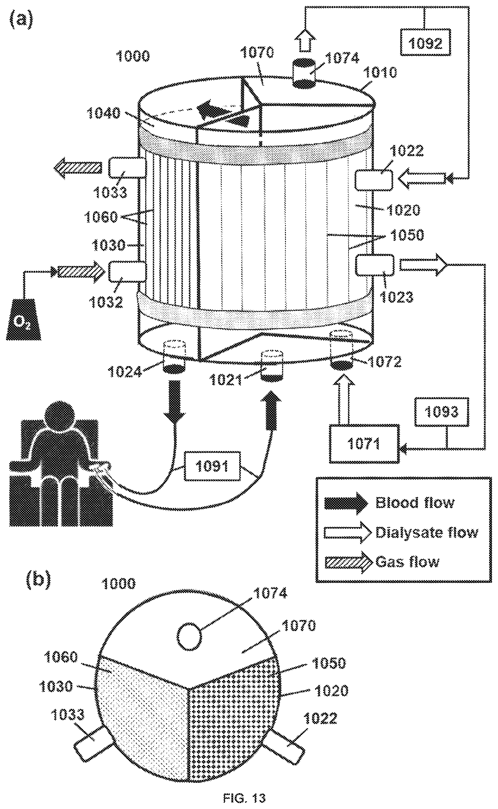 Patent US12616938 Figure 13 – Filter device for dialysis applications