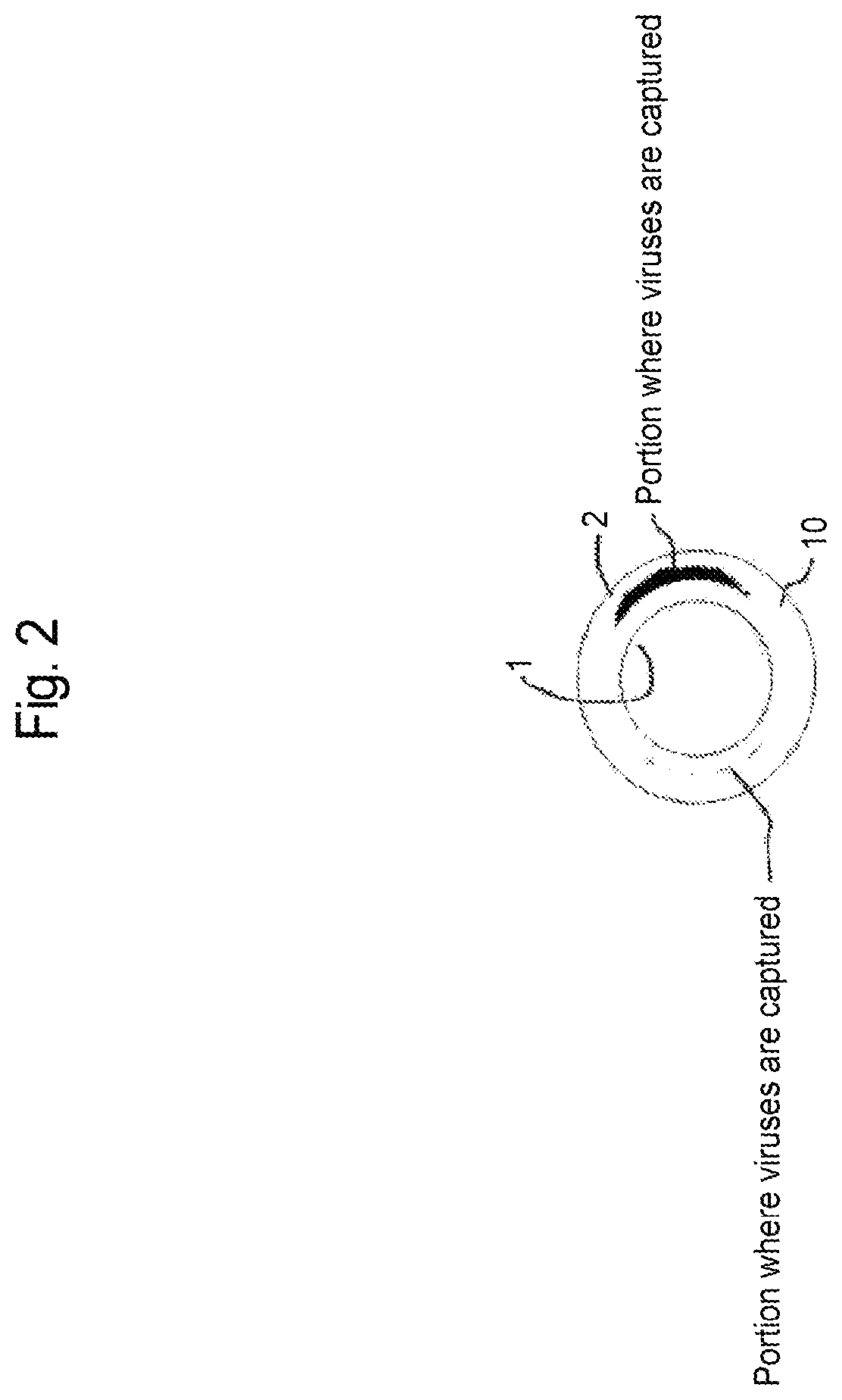 Patent US12616940 Figure 2 – Virus removal membrane and method for manufacturing virus removal membrane