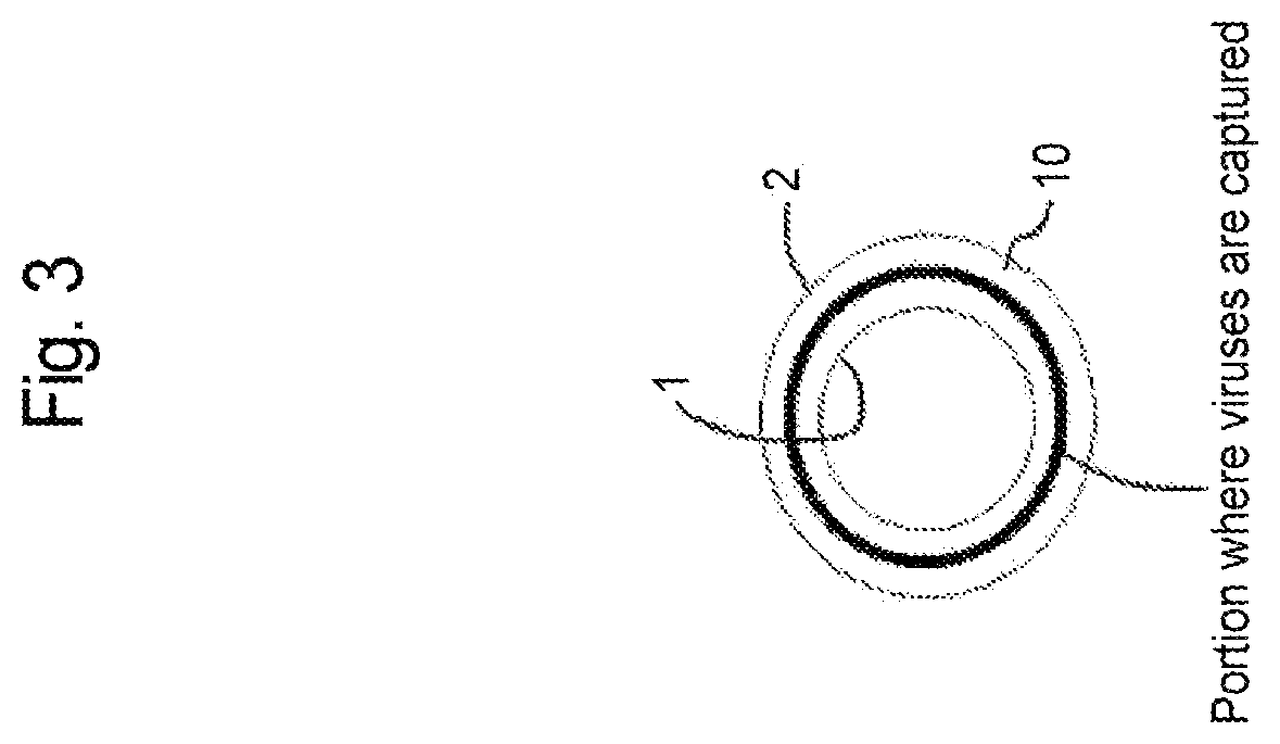 Patent US12616940 Figure 3 – Virus removal membrane and method for manufacturing virus removal membrane