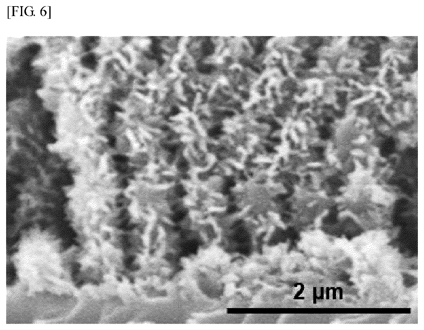 Patent US12616958 Figure 8 – Micro-separator including 3D ordered nanoshell structure of ceramic-polymer composite for gas chromatography, method for fabricating the same and method for separating gas mixture using the same