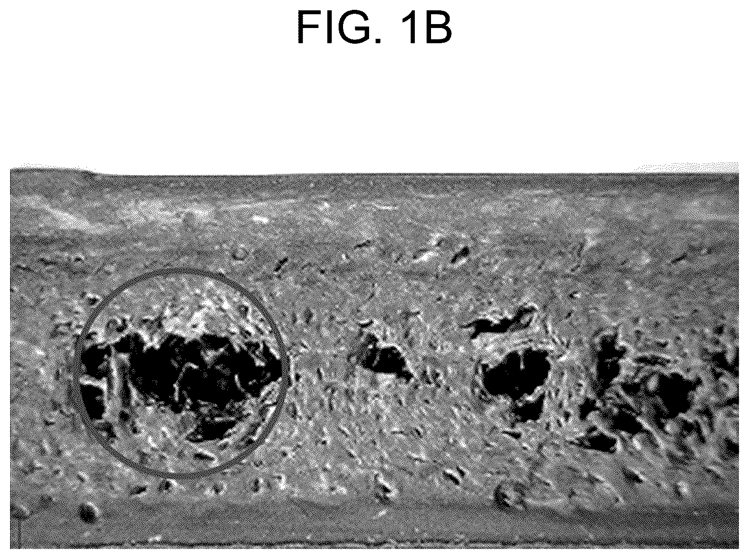 Patent US12617132 Figure 2 – Foam-molded product, method for manufacturing foam-molded product, and method for suppressing appearance defect of foam-molded product