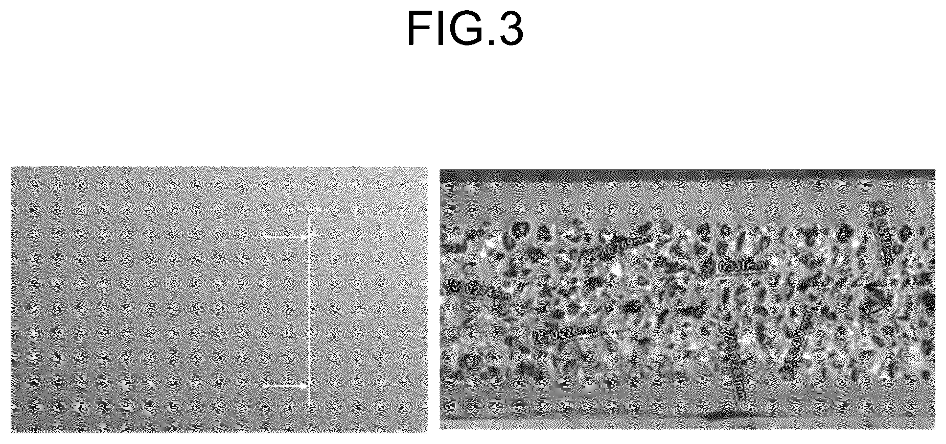 Patent US12617132 Figure 4 – Foam-molded product, method for manufacturing foam-molded product, and method for suppressing appearance defect of foam-molded product