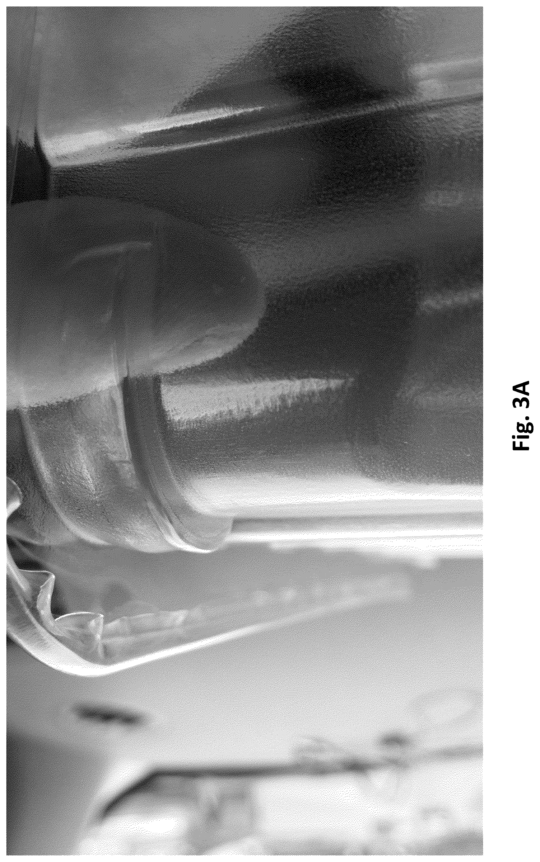Patent US12617142 Figure 4 – Rolled edge trays having smooth edges and stacking extensions