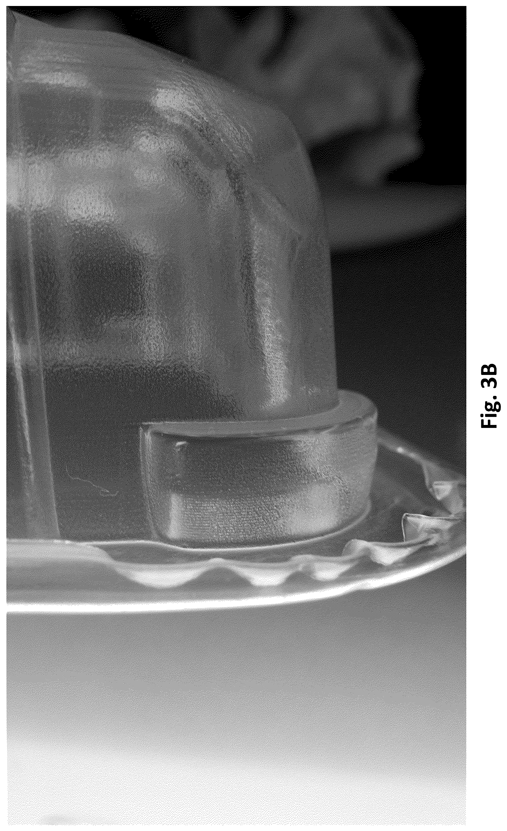 Patent US12617142 Figure 5 – Rolled edge trays having smooth edges and stacking extensions