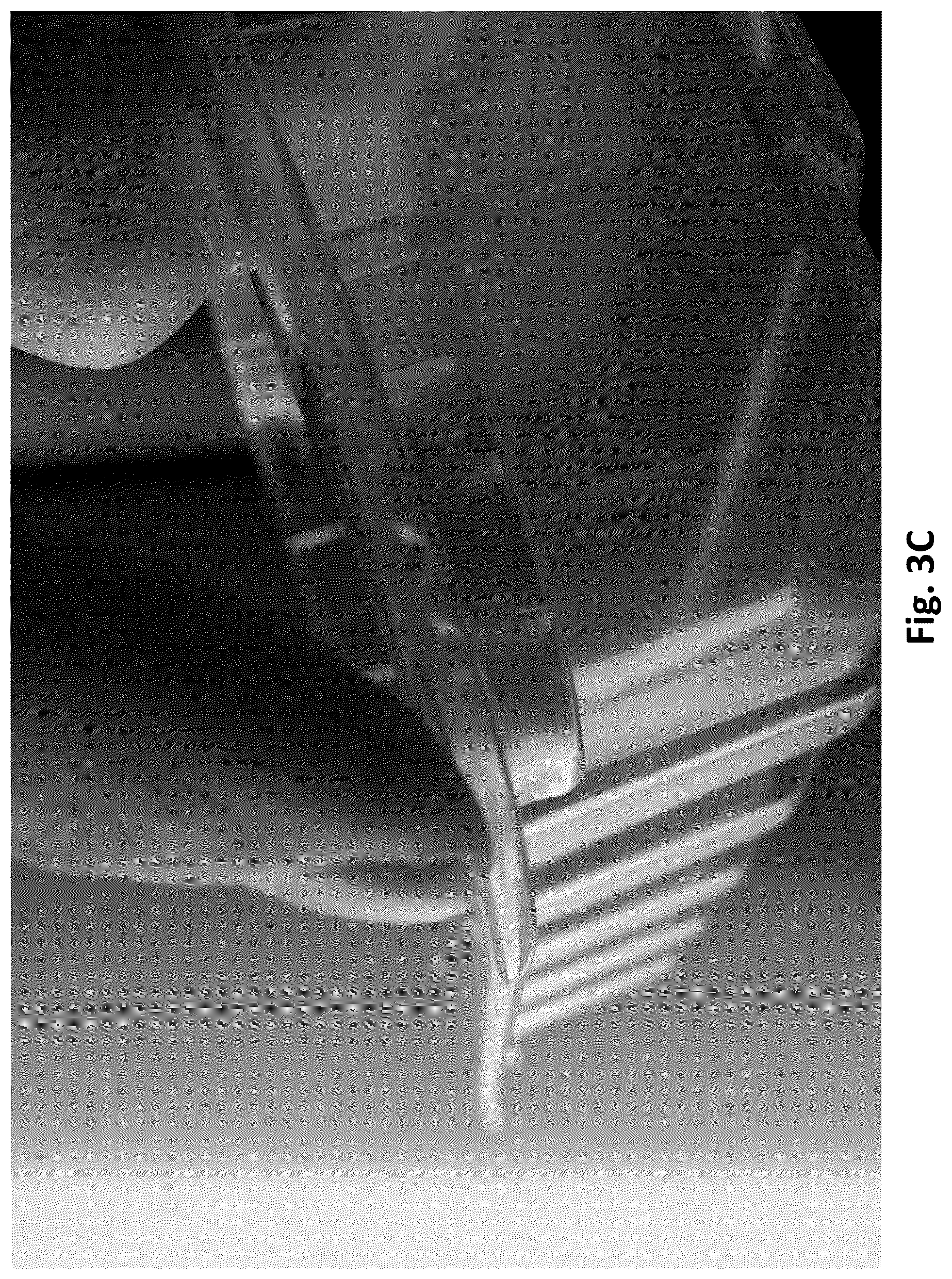 Patent US12617142 Figure 6 – Rolled edge trays having smooth edges and stacking extensions
