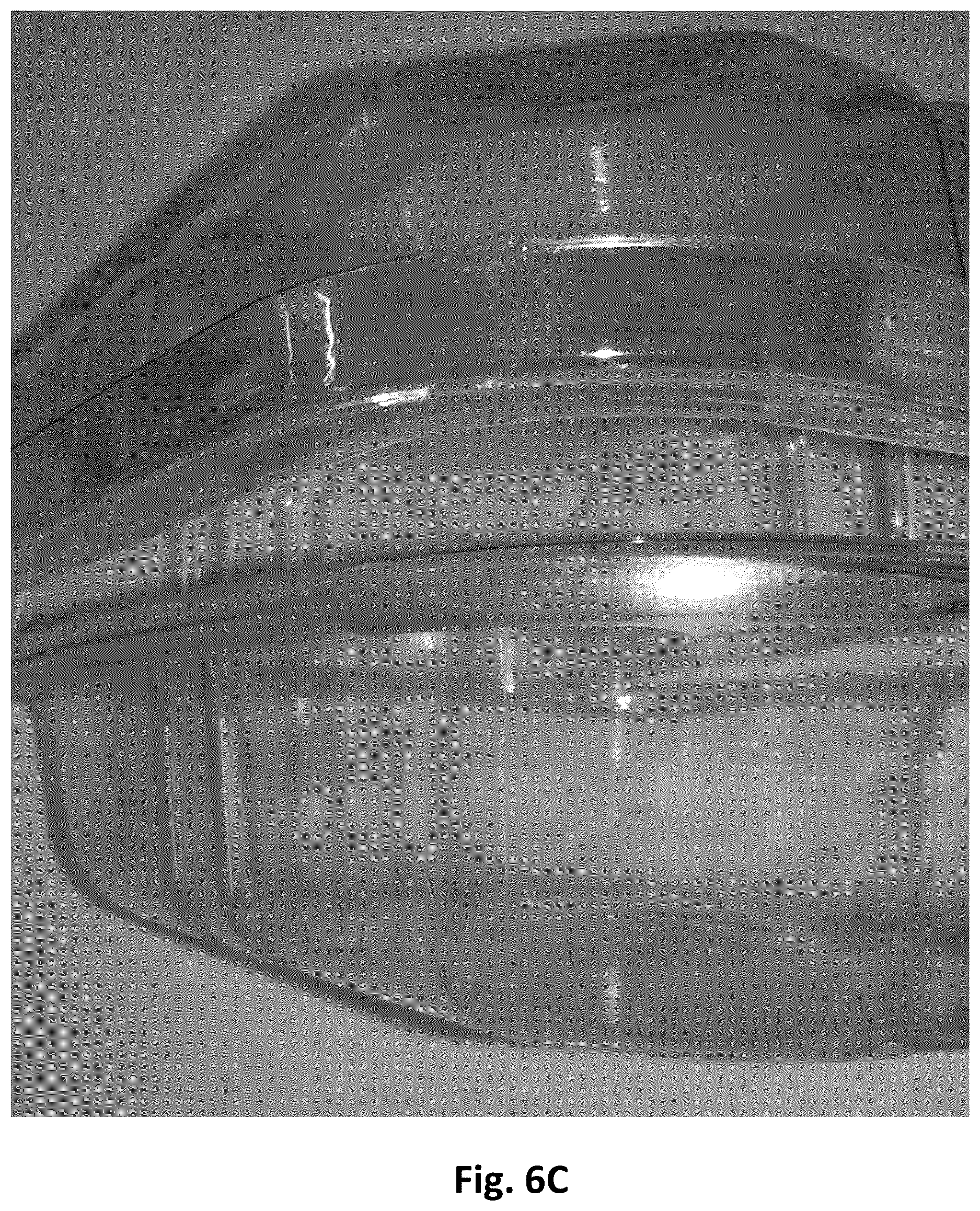 Patent US12617142 Figure 12 – Rolled edge trays having smooth edges and stacking extensions