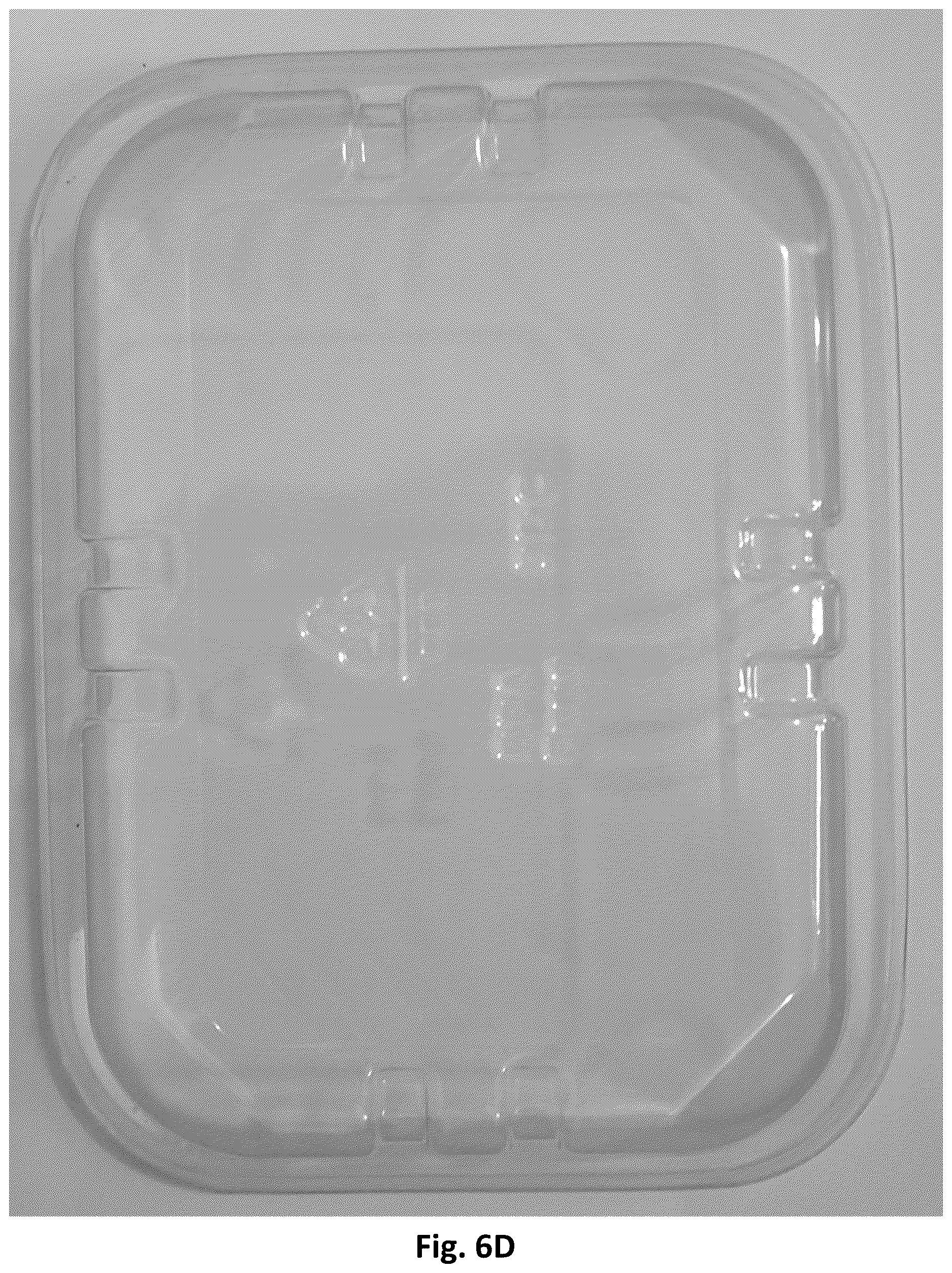 Patent US12617142 Figure 13 – Rolled edge trays having smooth edges and stacking extensions