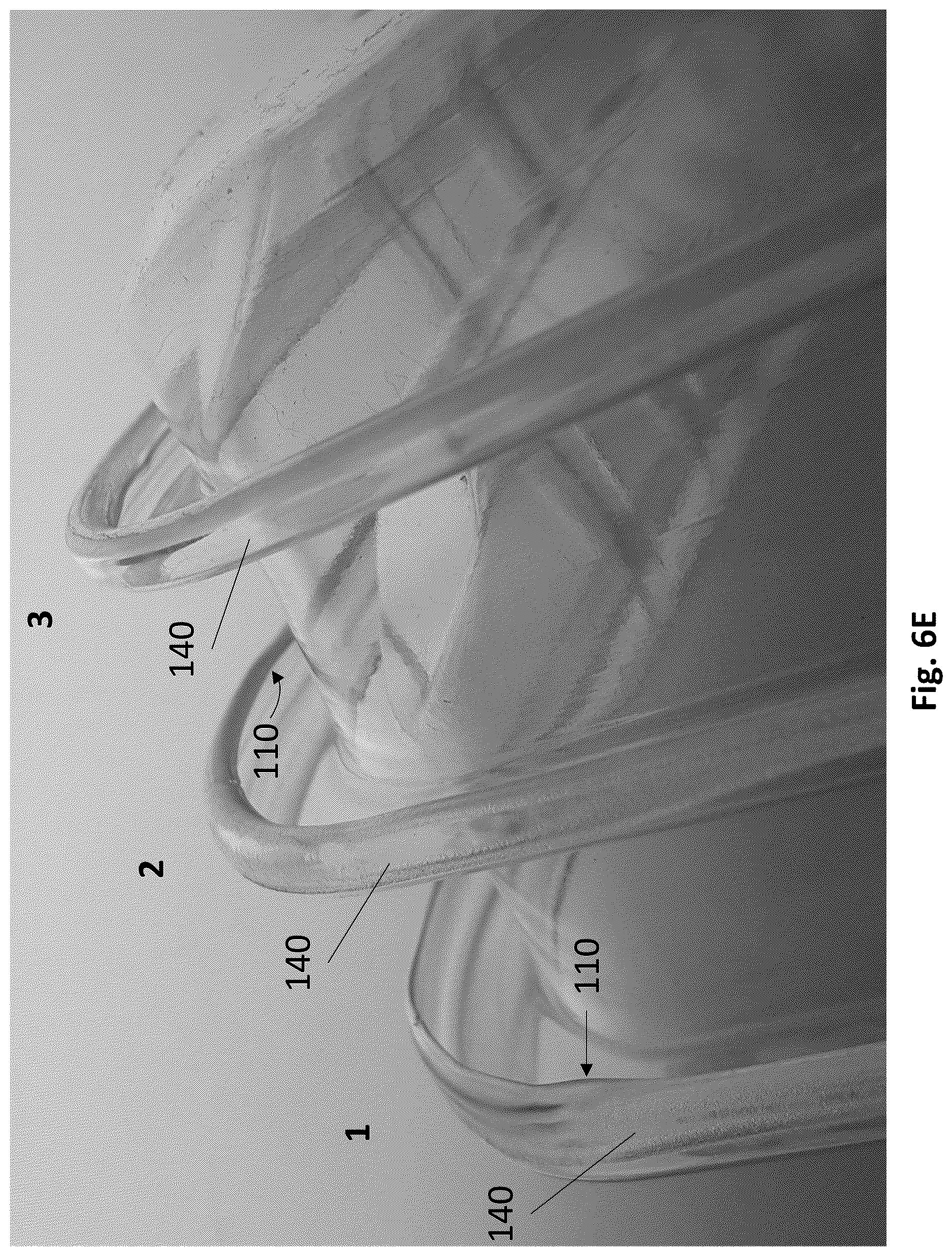 Patent US12617142 Figure 14 – Rolled edge trays having smooth edges and stacking extensions