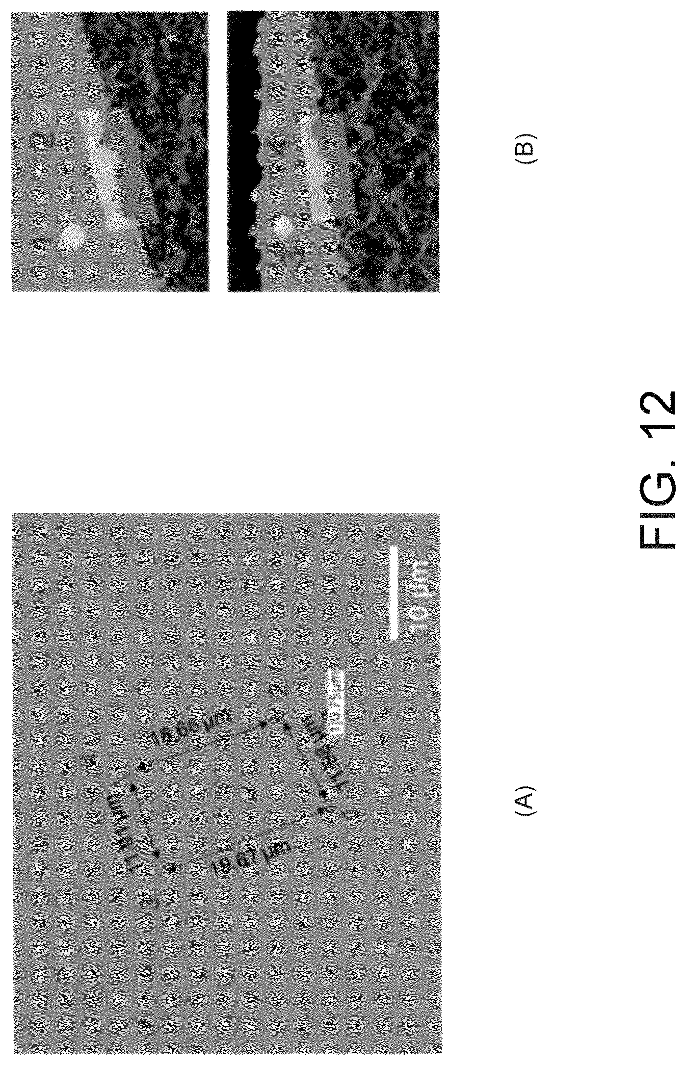 Patent US12617672 Figure 12 – On-demand scalable nano-scale 3D printing system