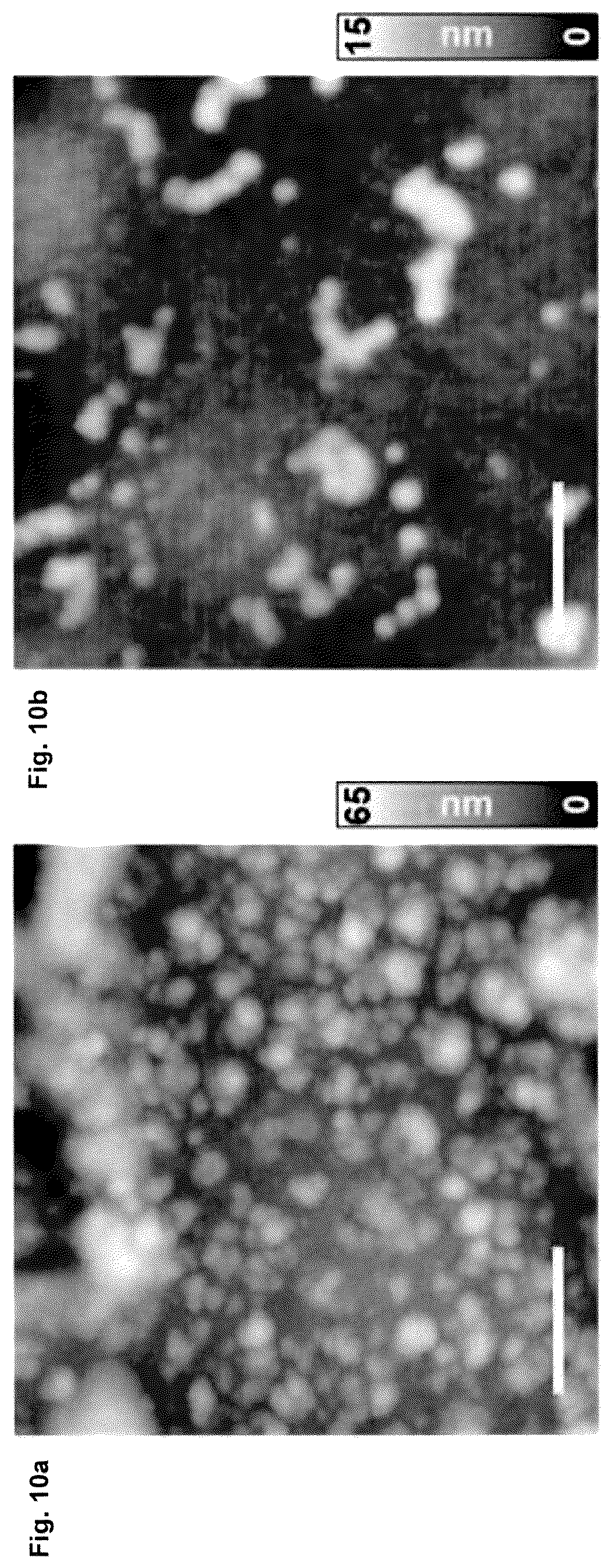 Patent US12617682 Figure 10 – Direct synthesis of improved superhydrophobic carbon nitride co-products, and improved superhydroppbic carbon nitride co-products thereof