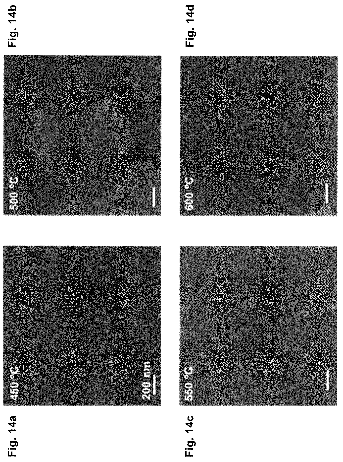 Patent US12617682 Figure 14 – Direct synthesis of improved superhydrophobic carbon nitride co-products, and improved superhydroppbic carbon nitride co-products thereof