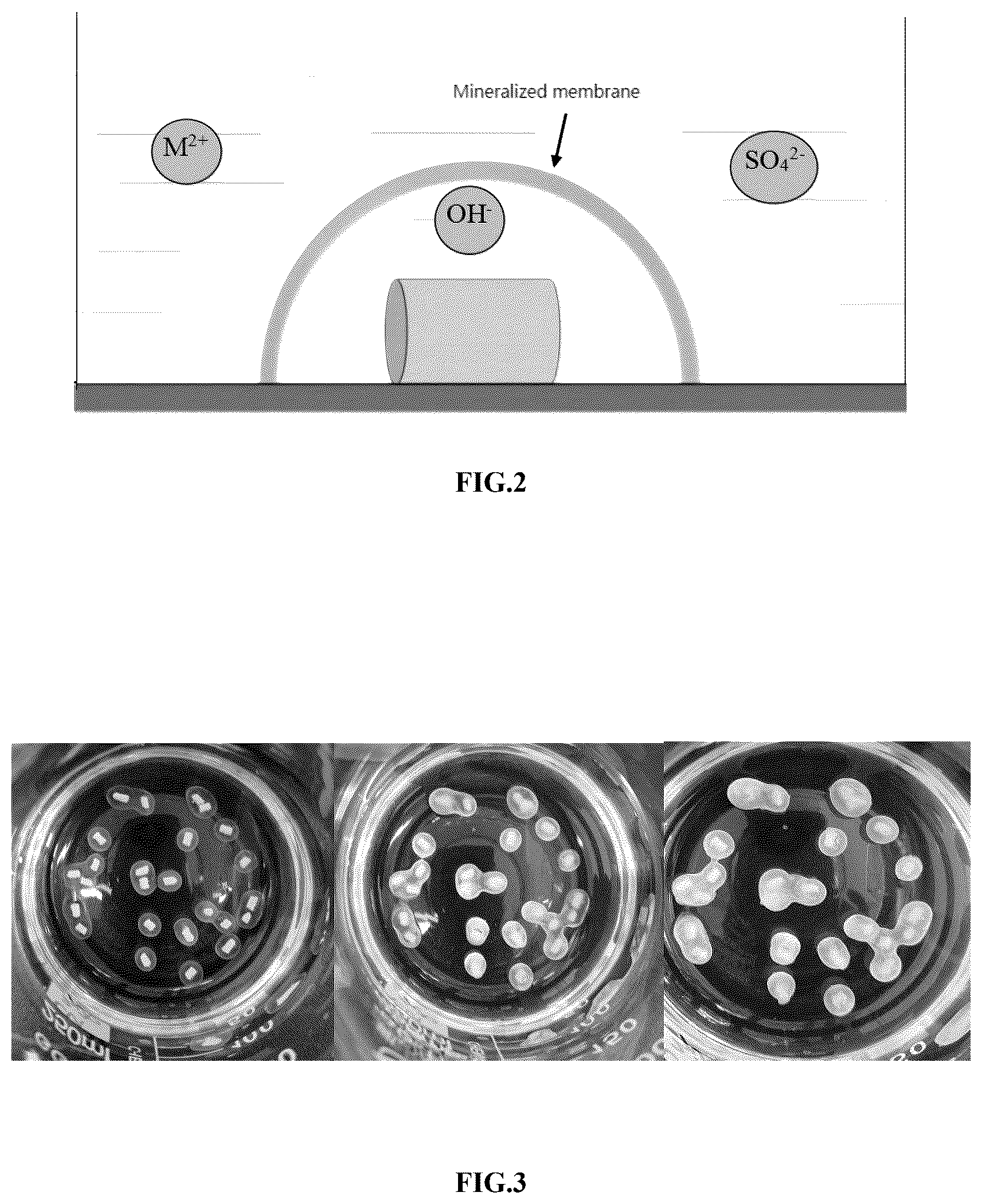 Patent US12617697 Figure 2 – Method and device for separation and recovery of heavy metal ions by membrane-forming mineralization fixation