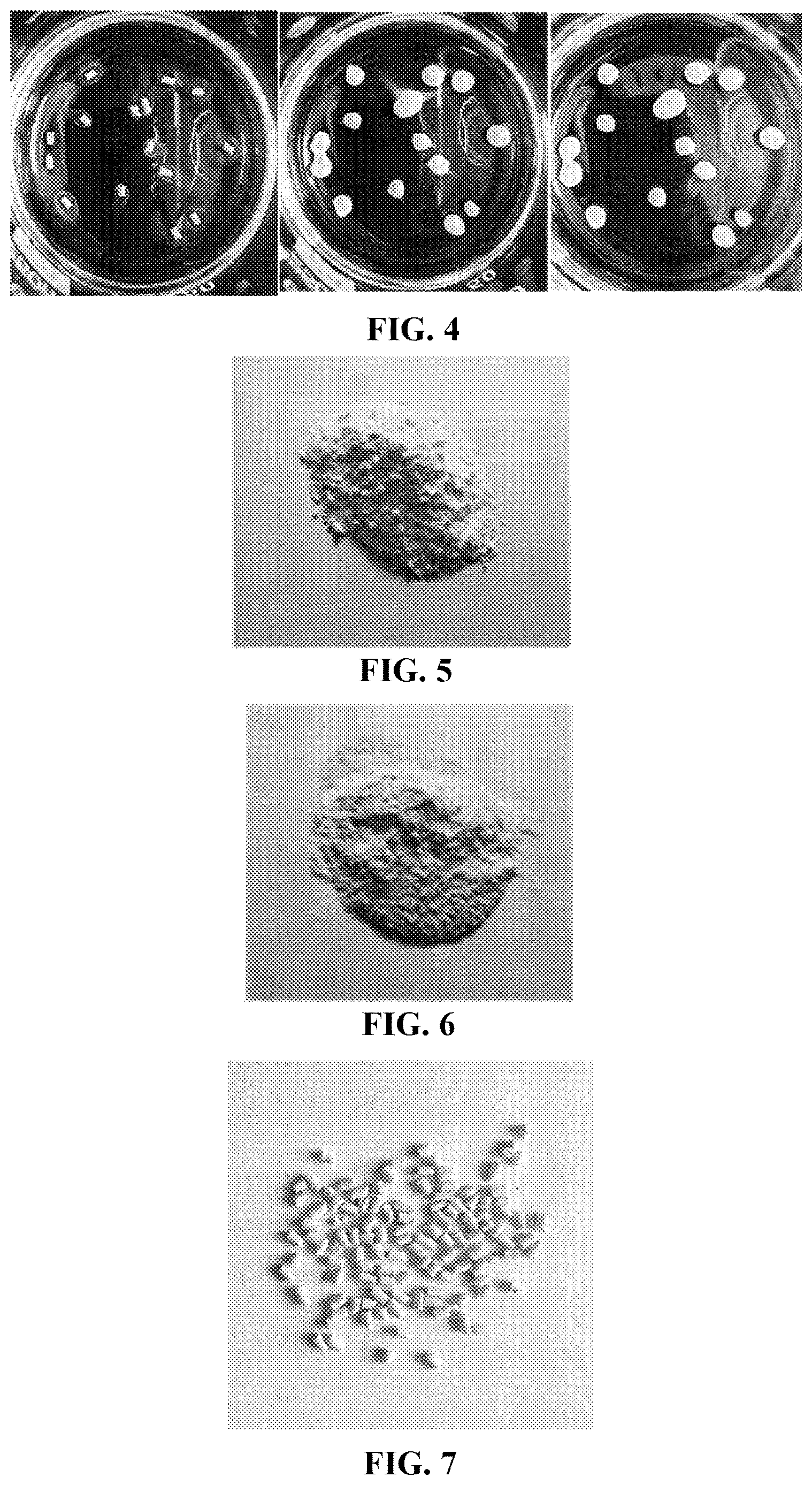 Patent US12617697 Figure 3 – Method and device for separation and recovery of heavy metal ions by membrane-forming mineralization fixation