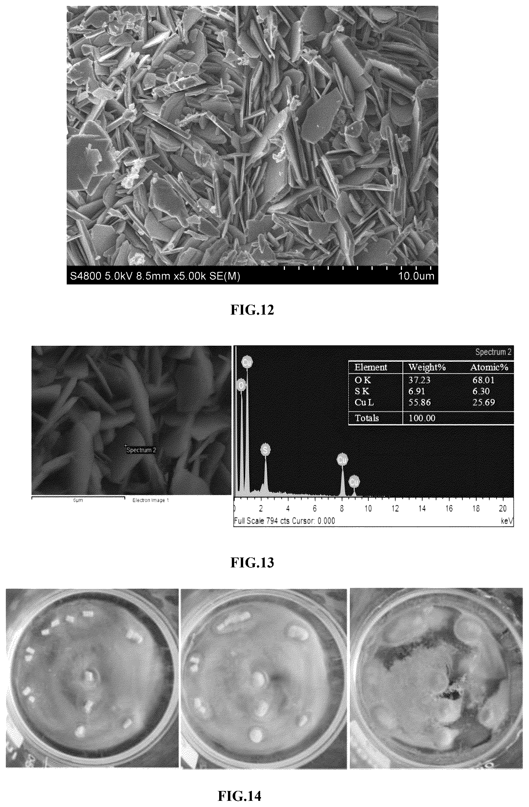 Patent US12617697 Figure 6 – Method and device for separation and recovery of heavy metal ions by membrane-forming mineralization fixation