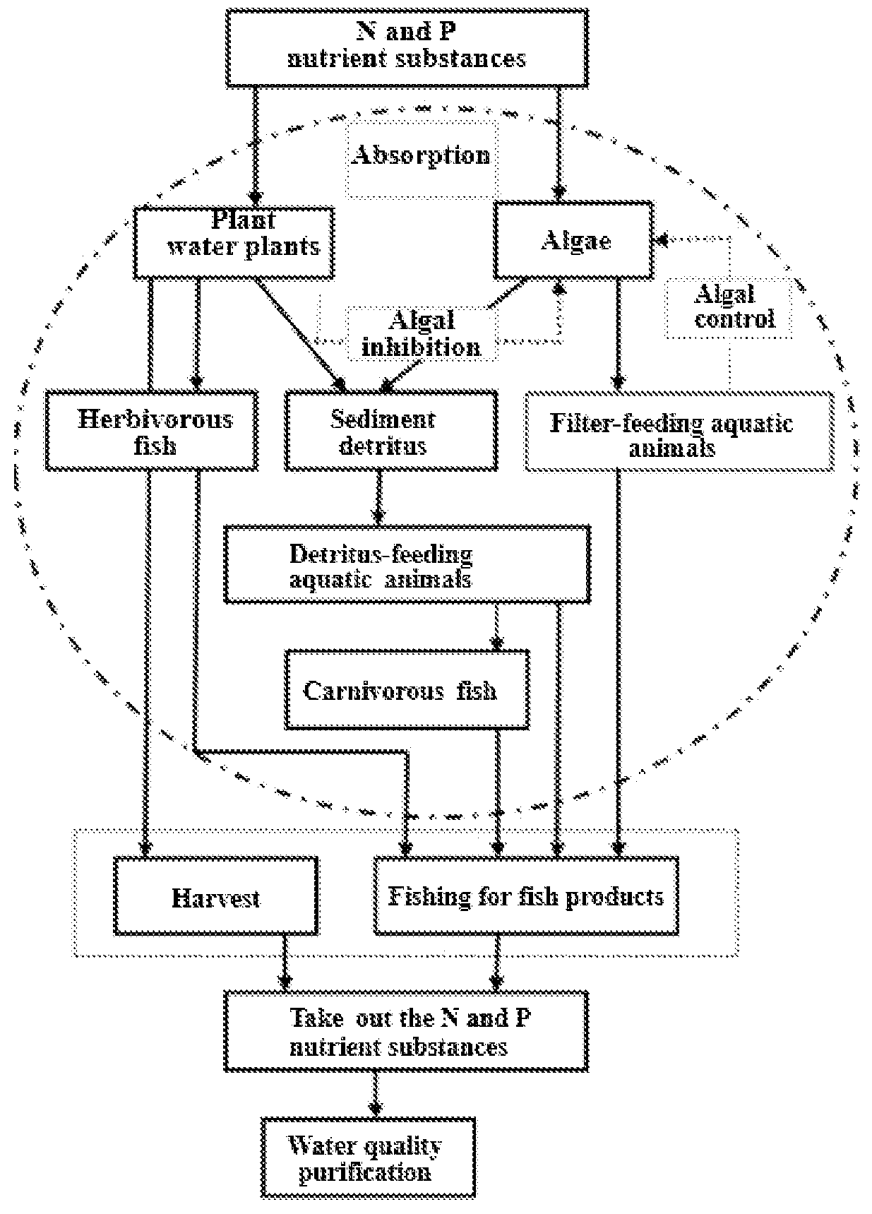 Patent US12617703 — Micro-polluted water body treatment method based on aquatic forest system construction — Figure 1