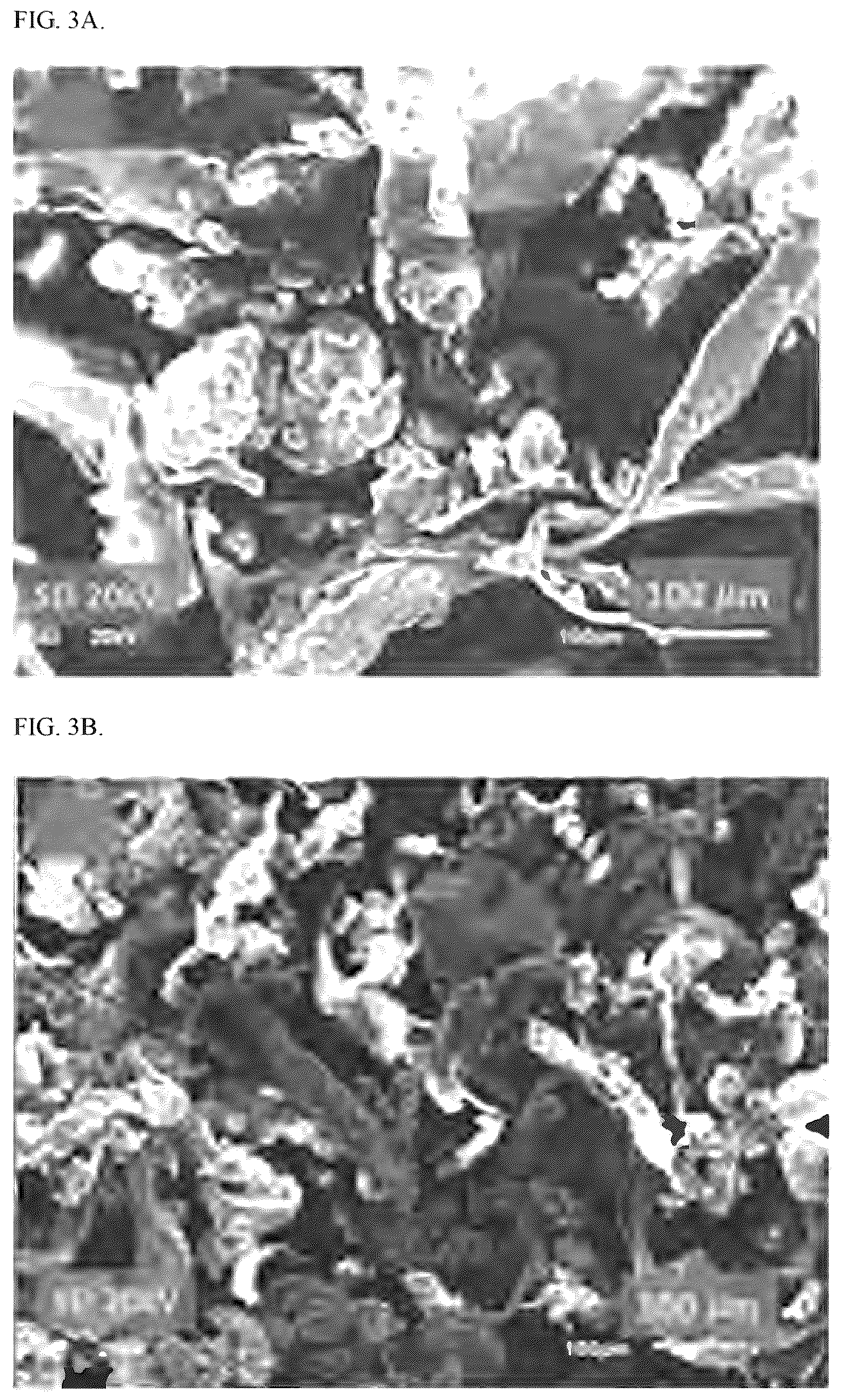 Patent US12617731 Figure 2 – Asphalt containing recycled waste plastic