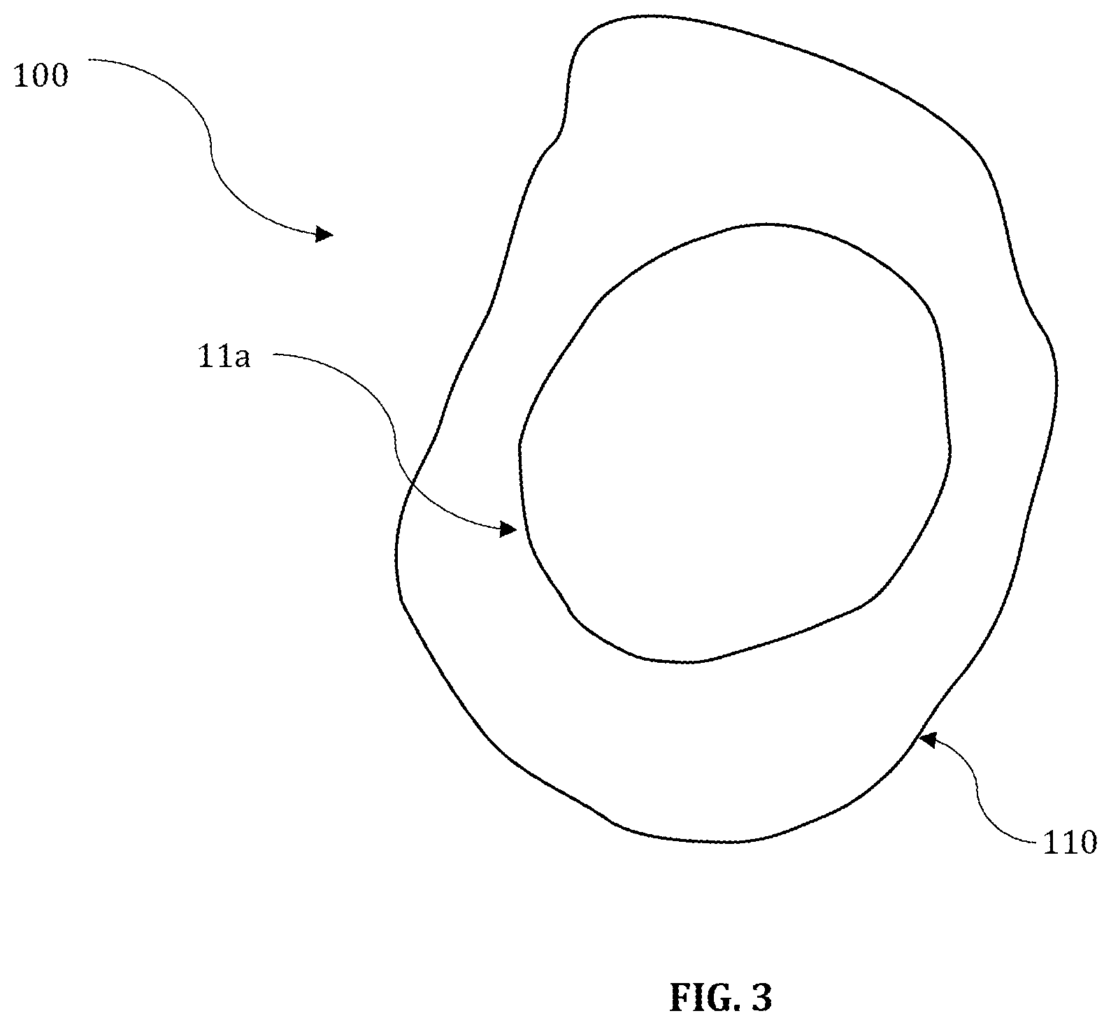 Patent US12617736 Figure 3 – Granular fertilizers and methods of making same