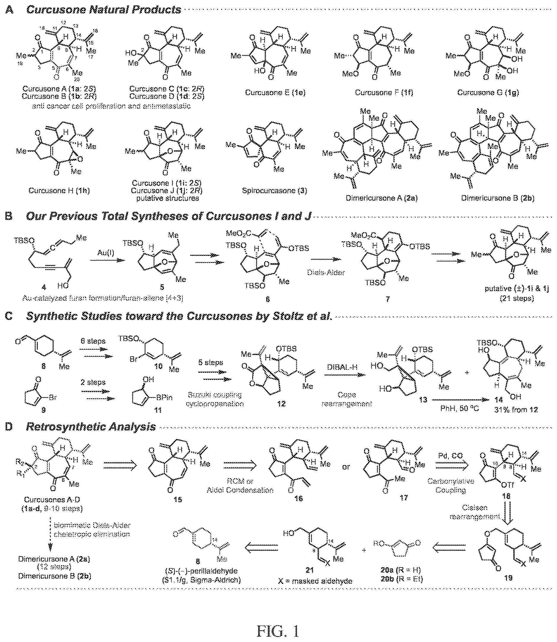 Patent US12617745 Figure 1 – Curcusone diterpenoids and uses thereof