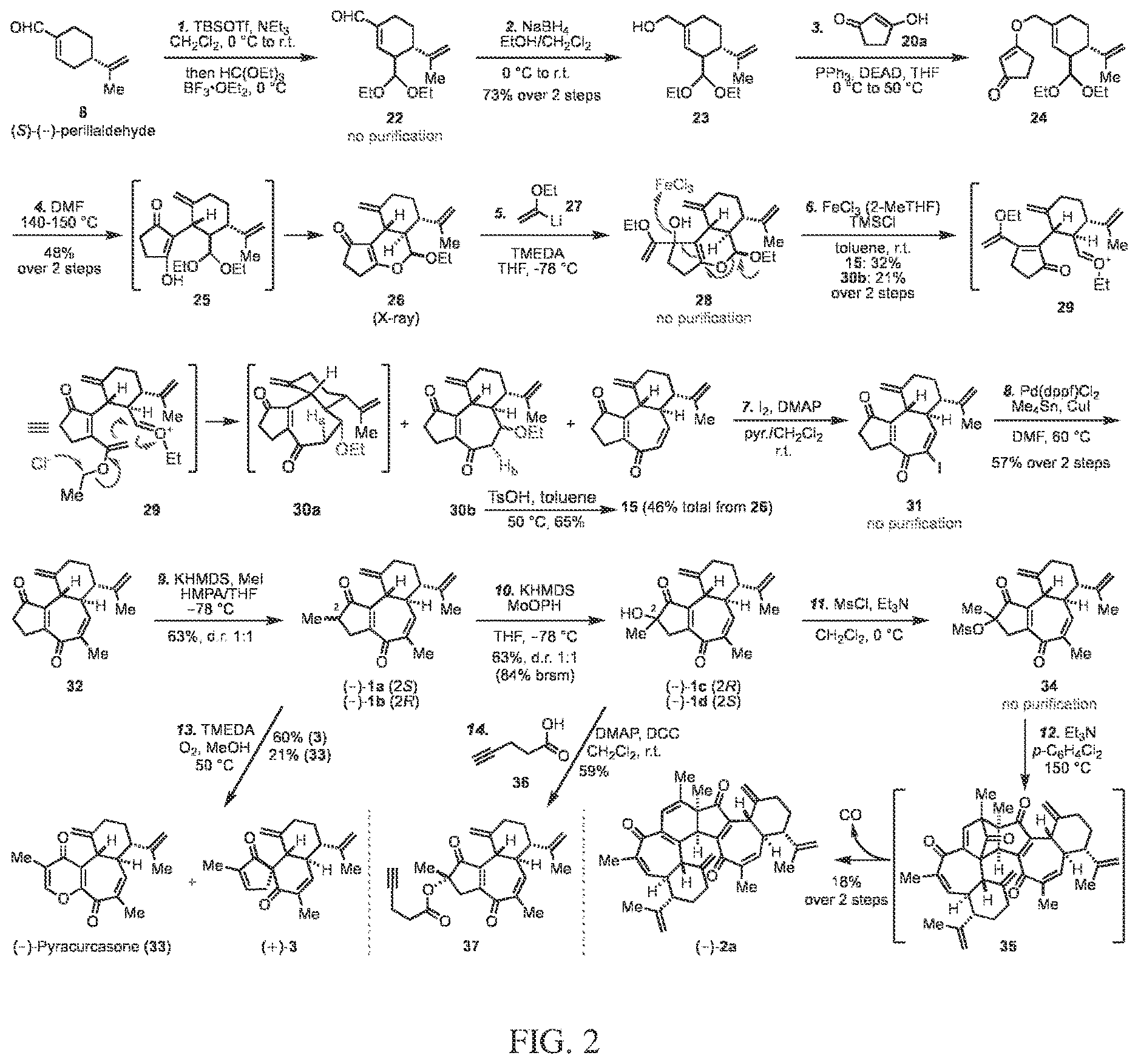 Patent US12617745 Figure 2 – Curcusone diterpenoids and uses thereof