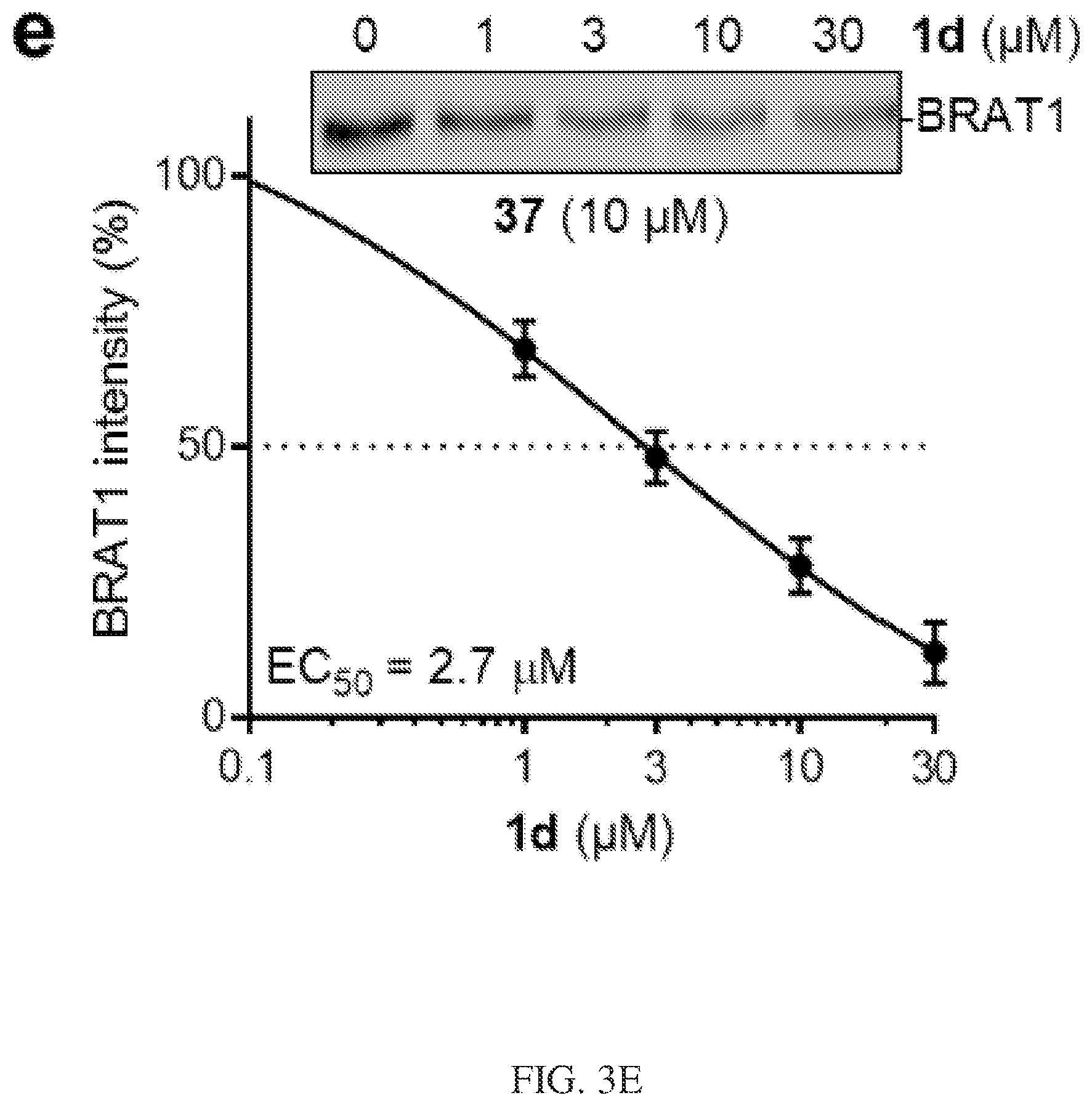 Patent US12617745 Figure 5 – Curcusone diterpenoids and uses thereof