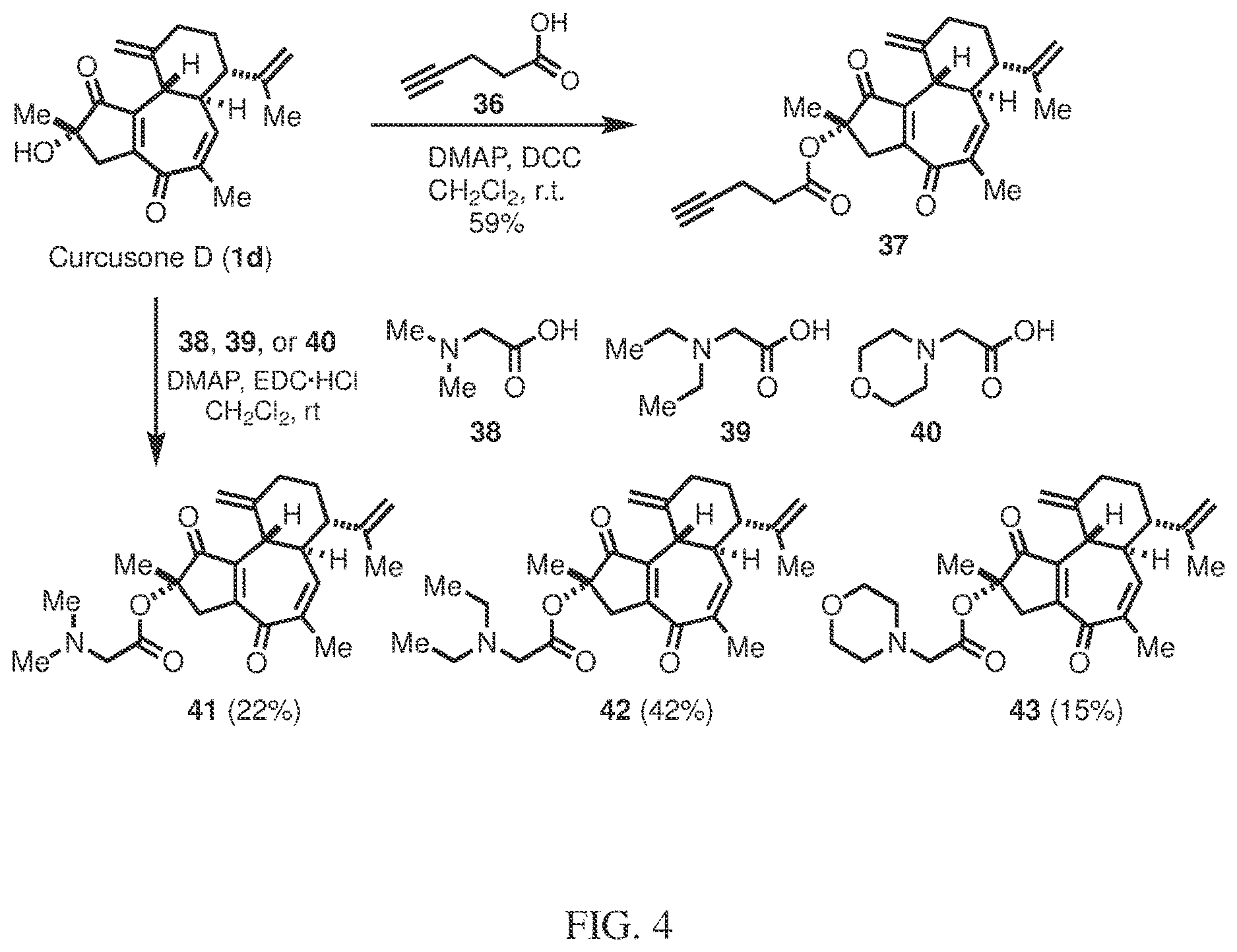 Patent US12617745 Figure 6 – Curcusone diterpenoids and uses thereof