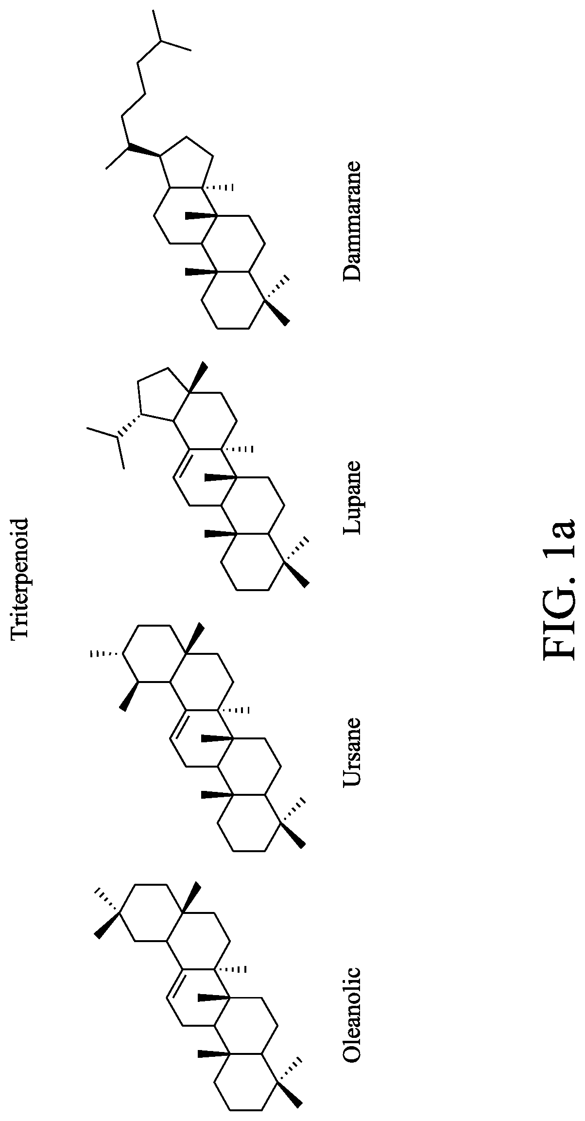 Patent US12617746 Figure 1 – Method of preparing triterpenoid compound