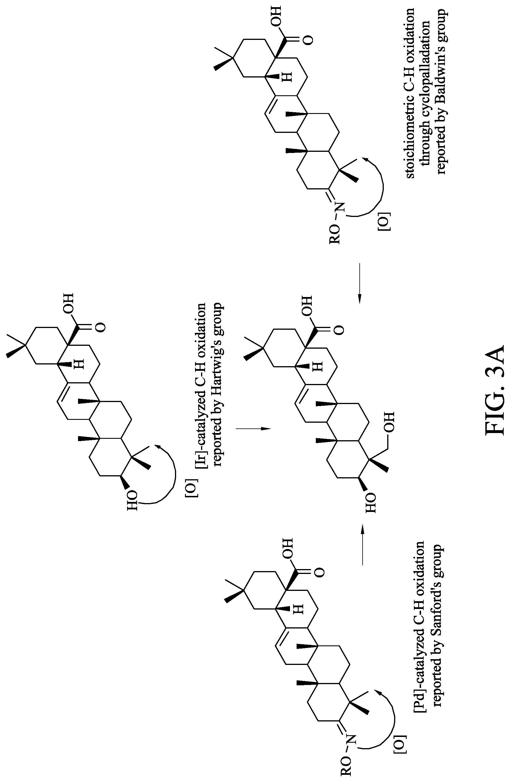 Patent US12617746 Figure 4 – Method of preparing triterpenoid compound