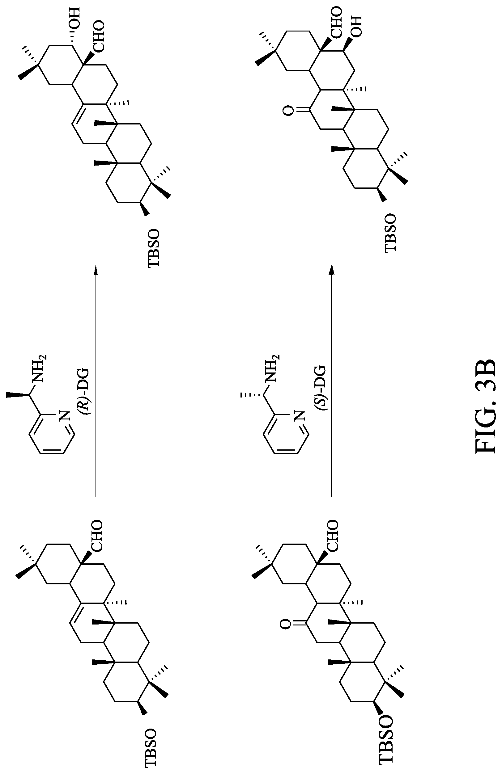 Patent US12617746 Figure 5 – Method of preparing triterpenoid compound