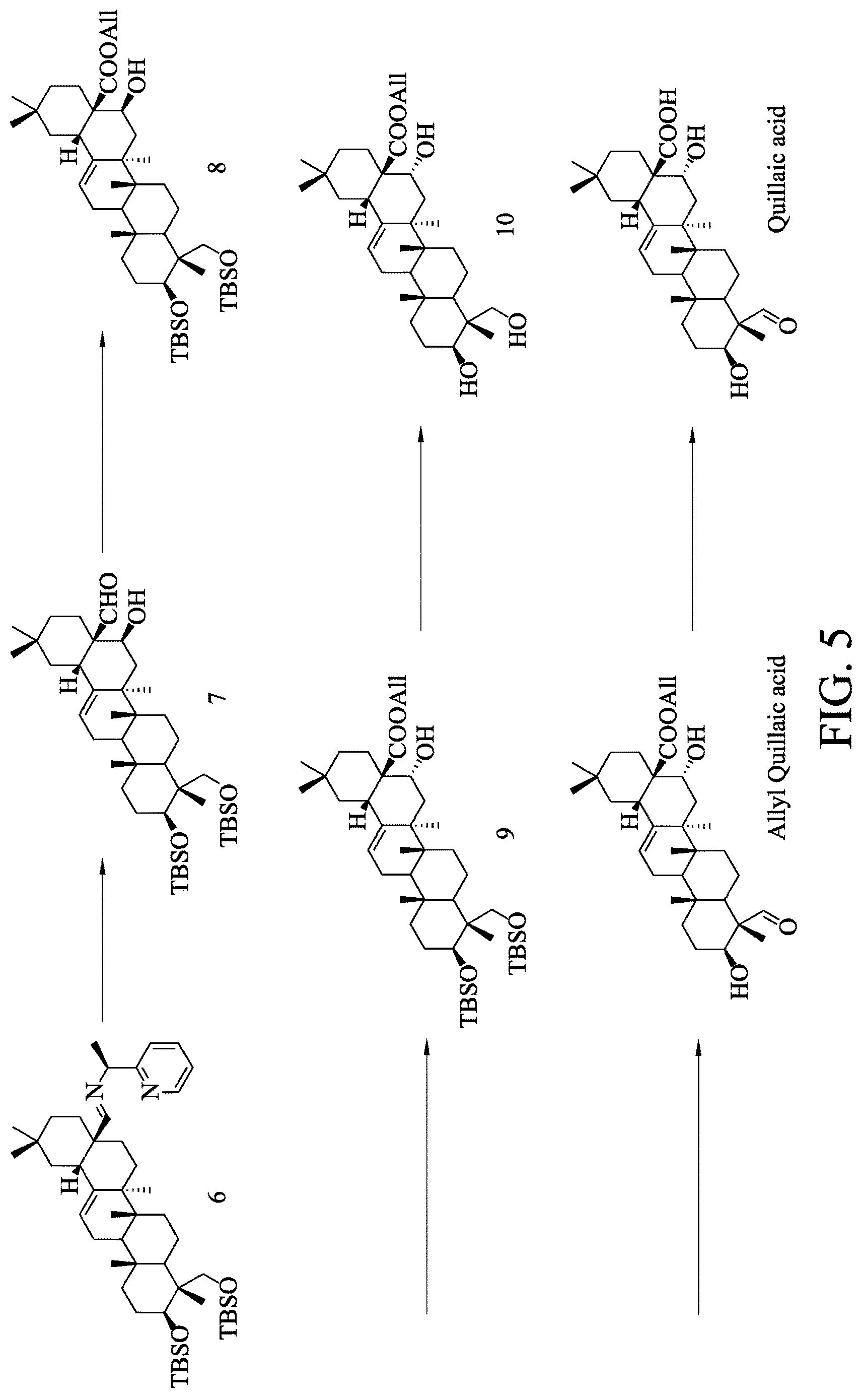 Patent US12617746 Figure 7 – Method of preparing triterpenoid compound
